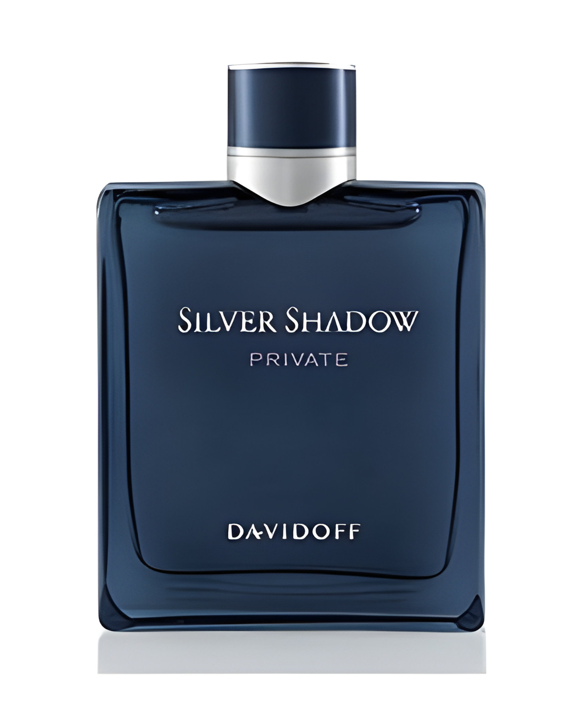 Picture of Silver Shadow Private fragrance