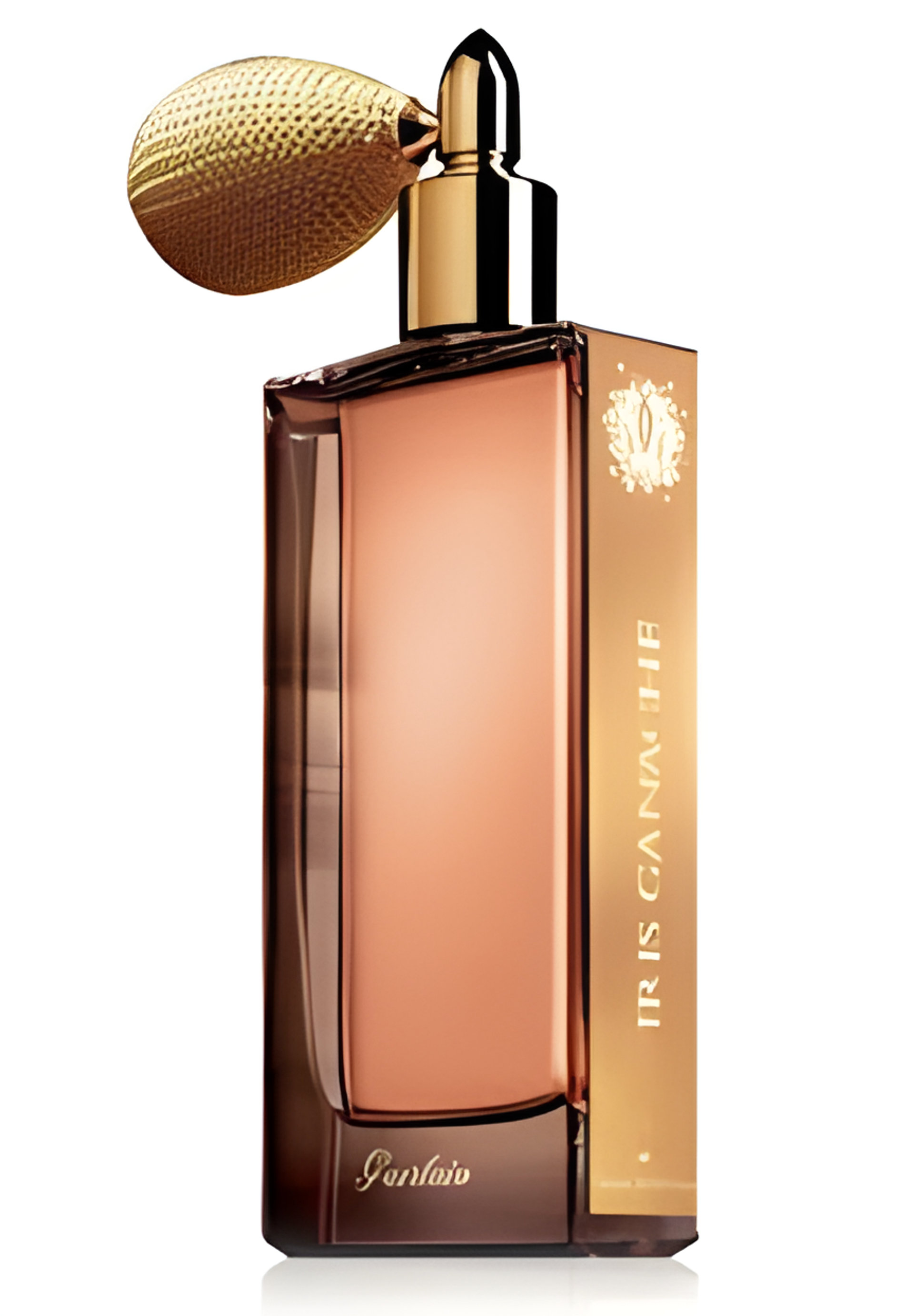 Picture of Iris Ganache fragrance
