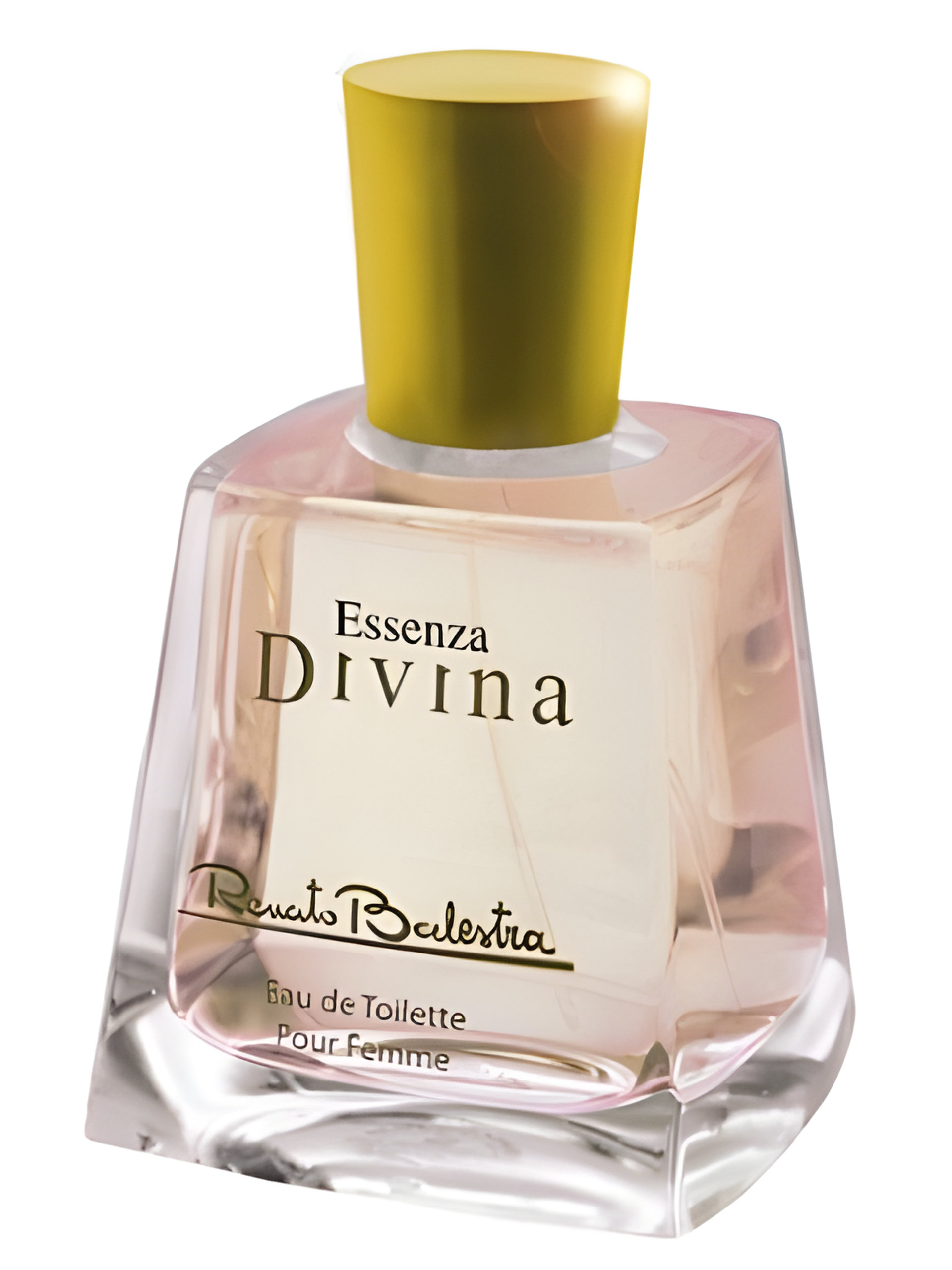 Picture of Fiori Di Essenza Divina fragrance