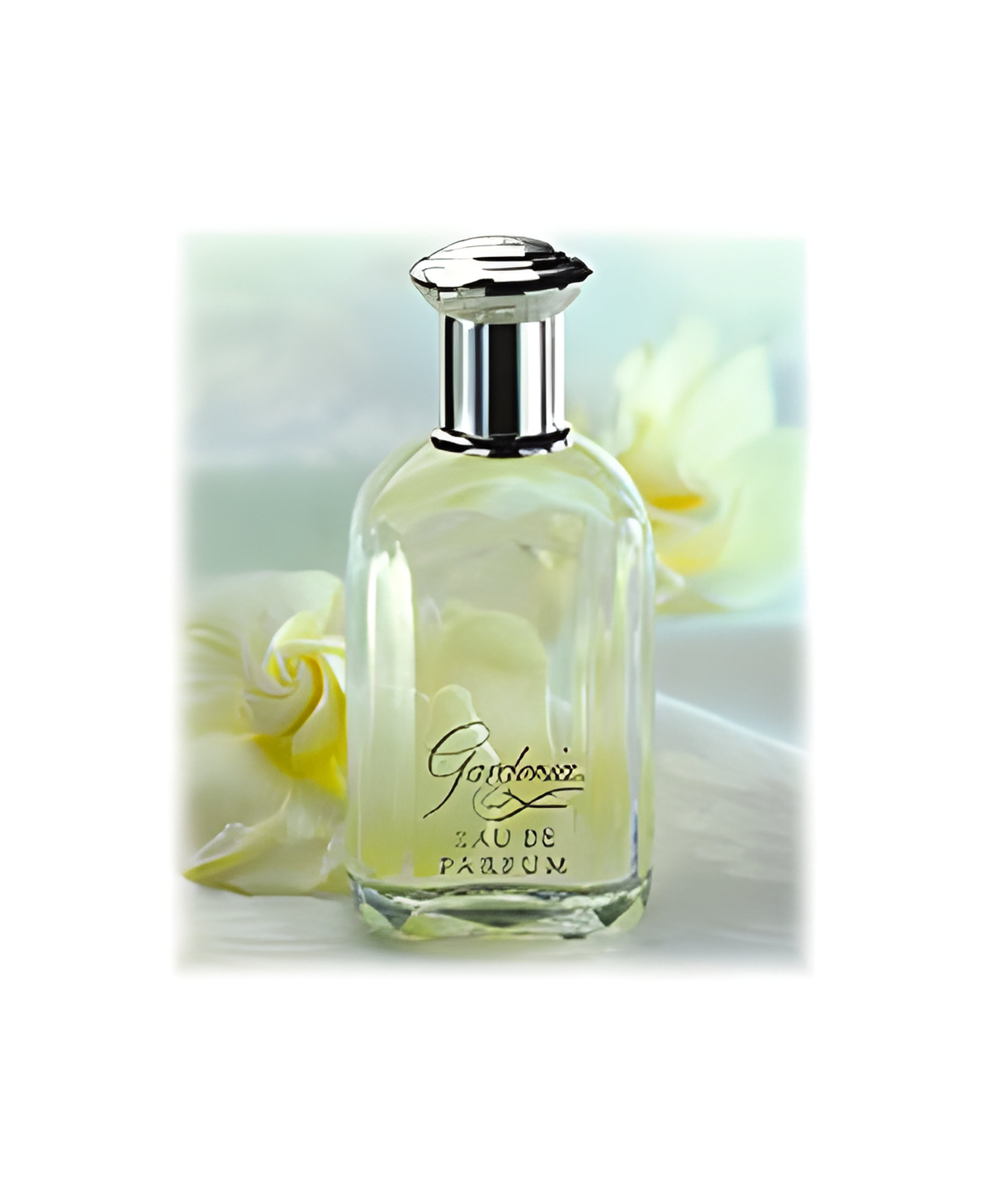 Picture of Gardenia fragrance