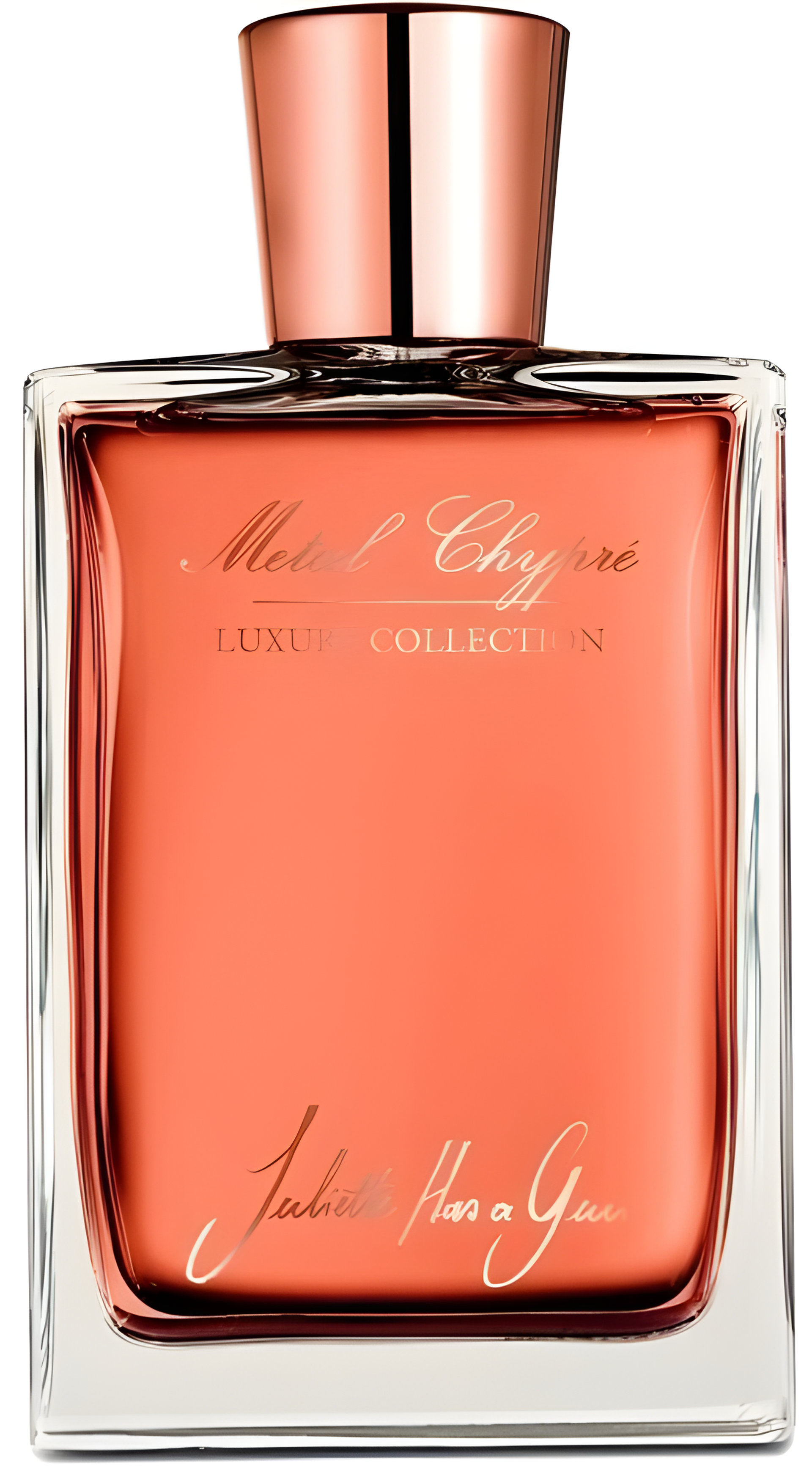 Picture of Metal Chypre fragrance