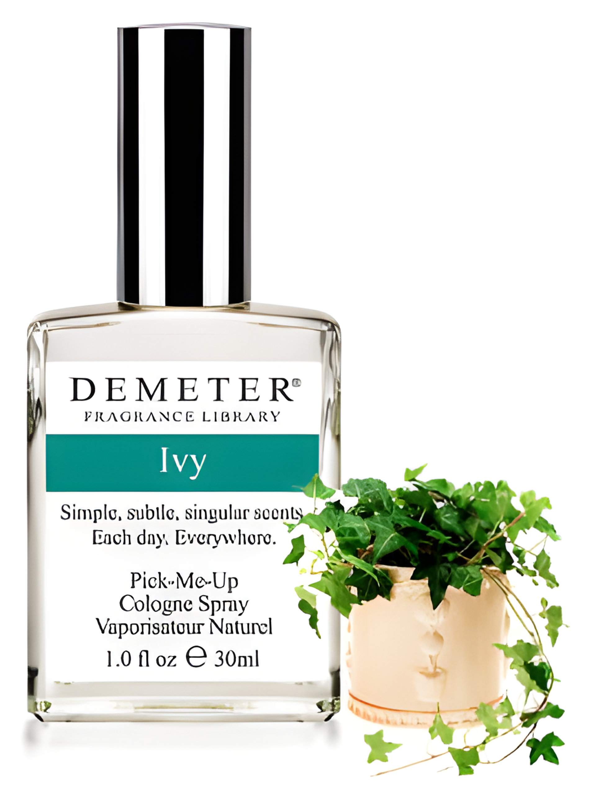 Picture of Ivy fragrance