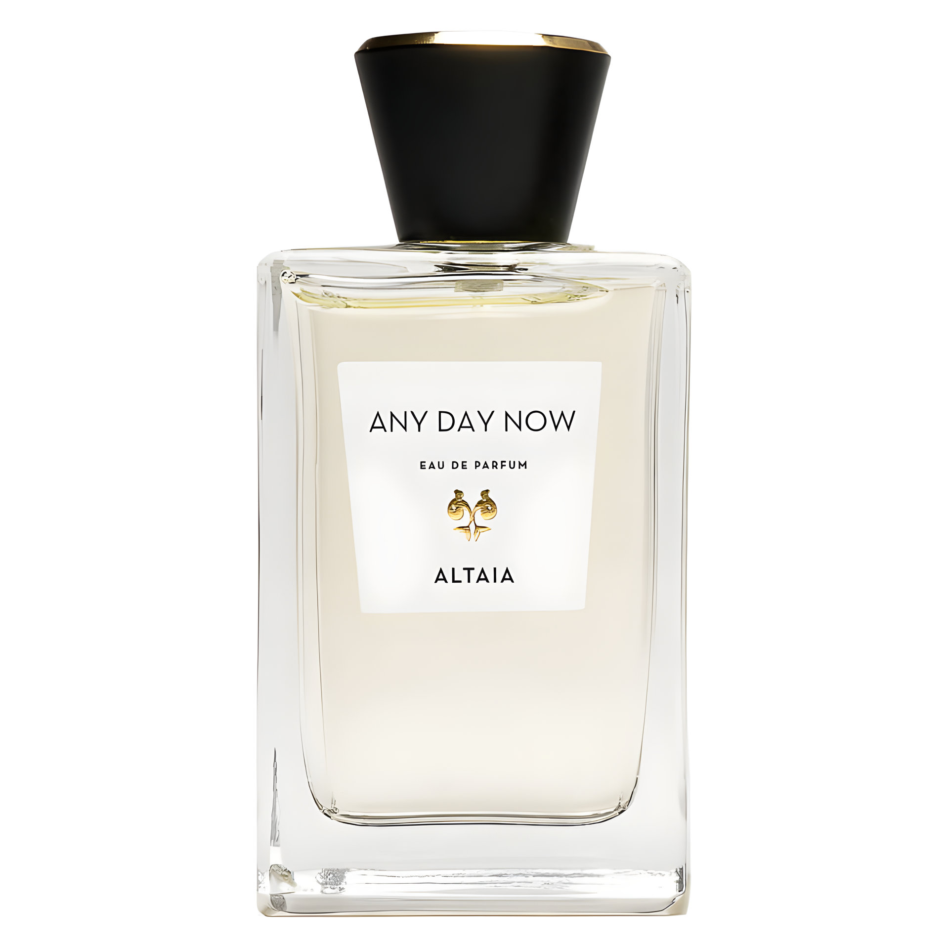 Picture of Any Day Now fragrance