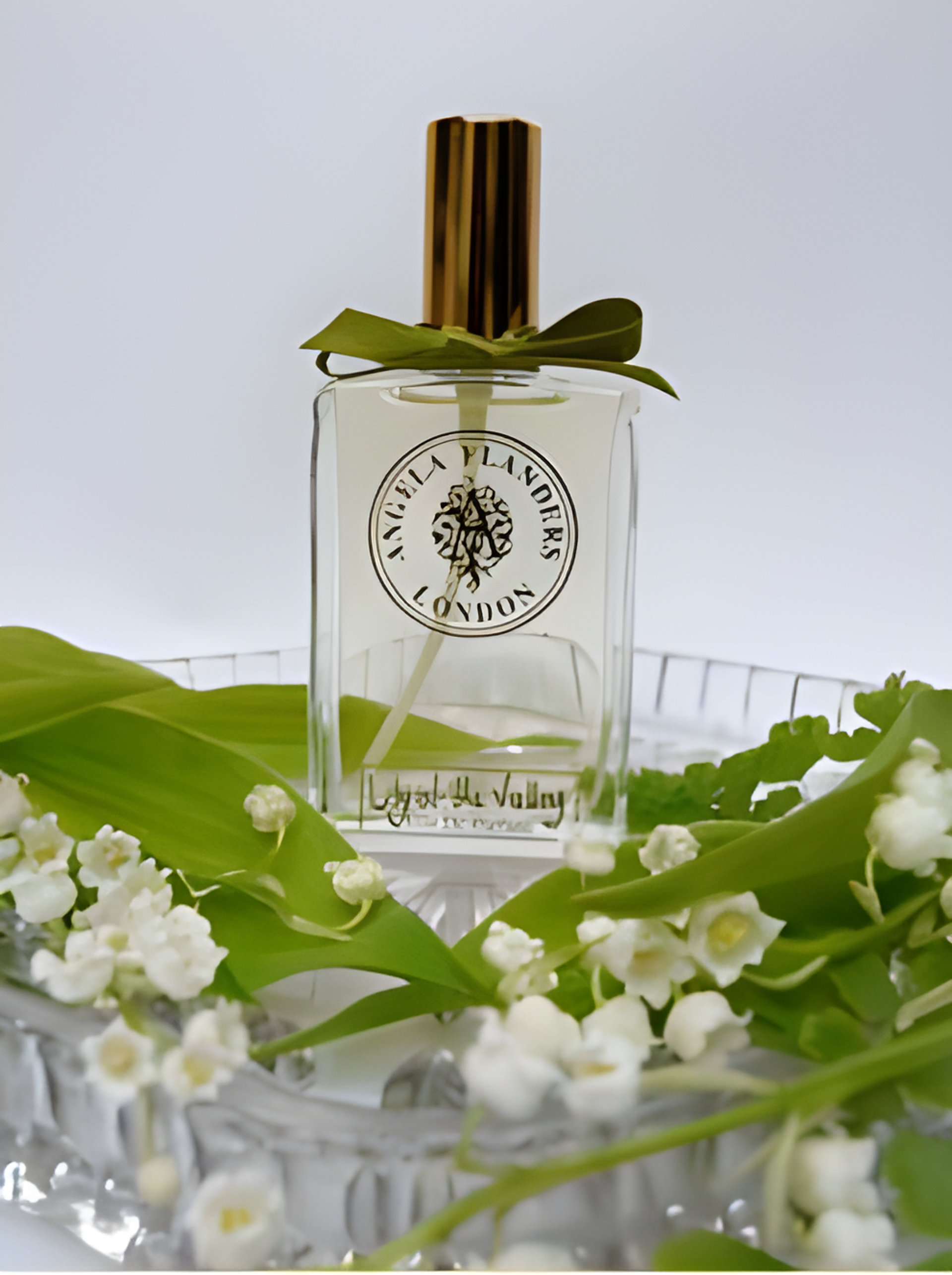 Picture of Lily of the Valley fragrance