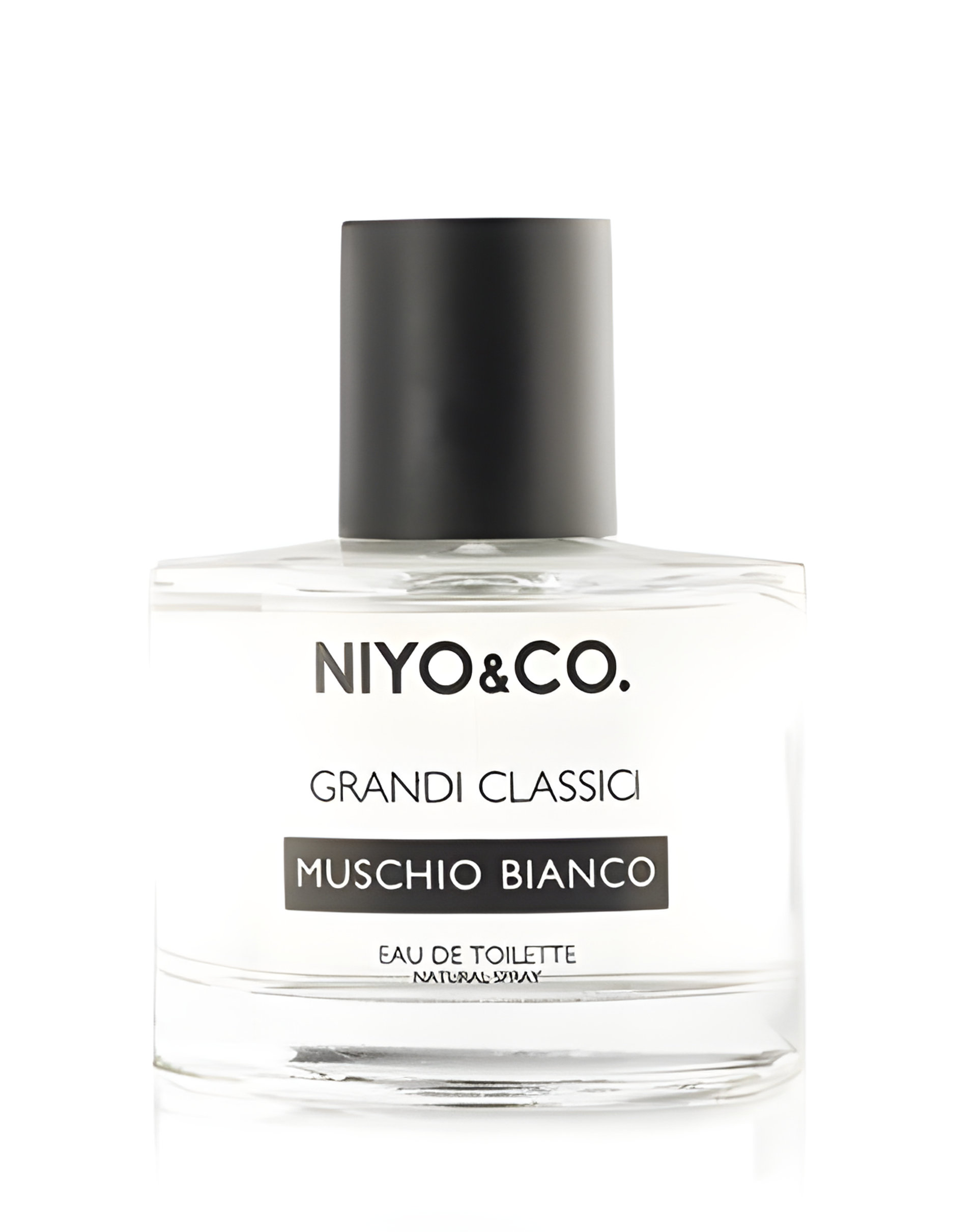 Picture of Muschio Bianco fragrance
