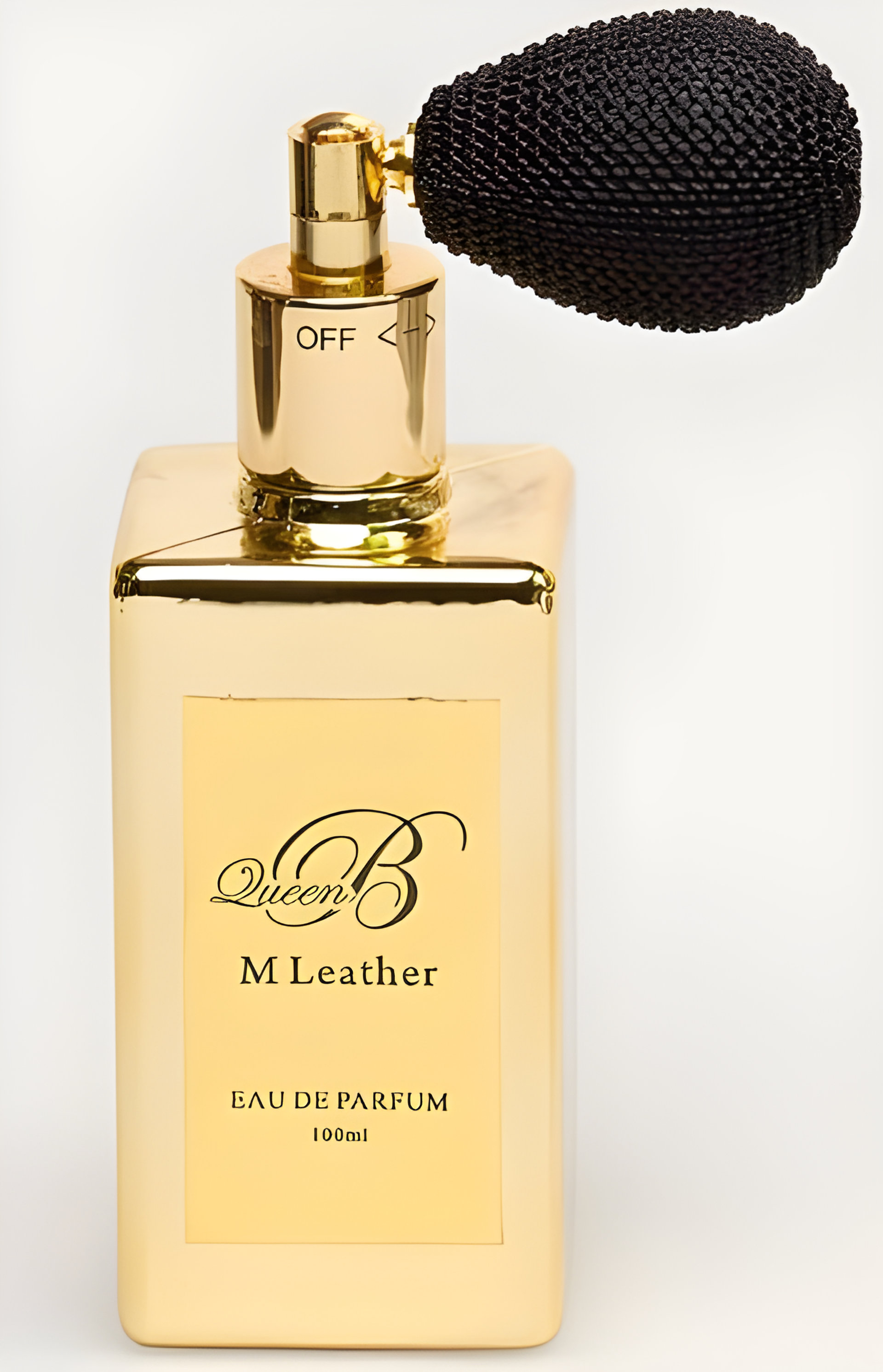 Picture of M Leather fragrance