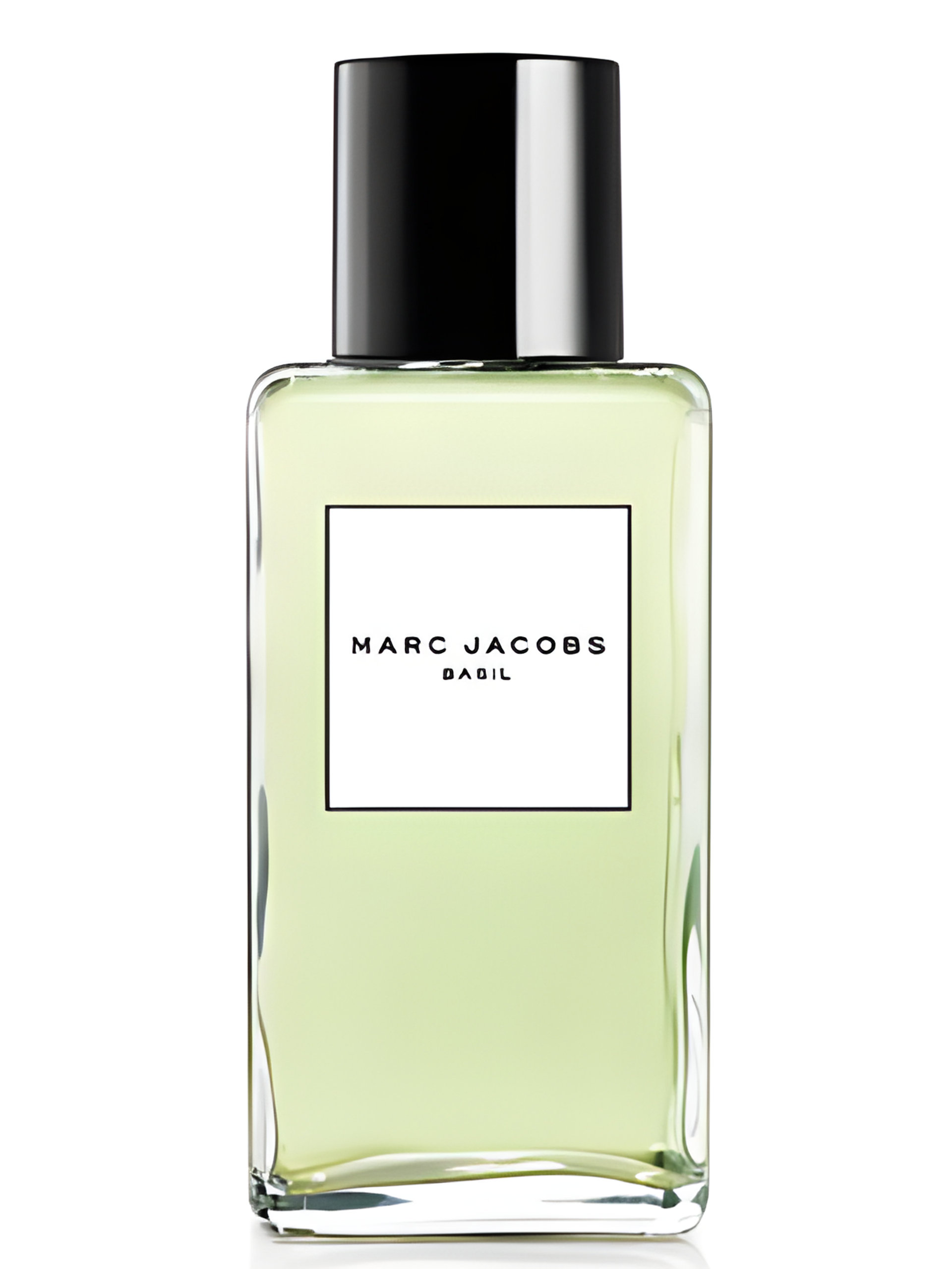 Picture of Splash - the Basil 2008 fragrance