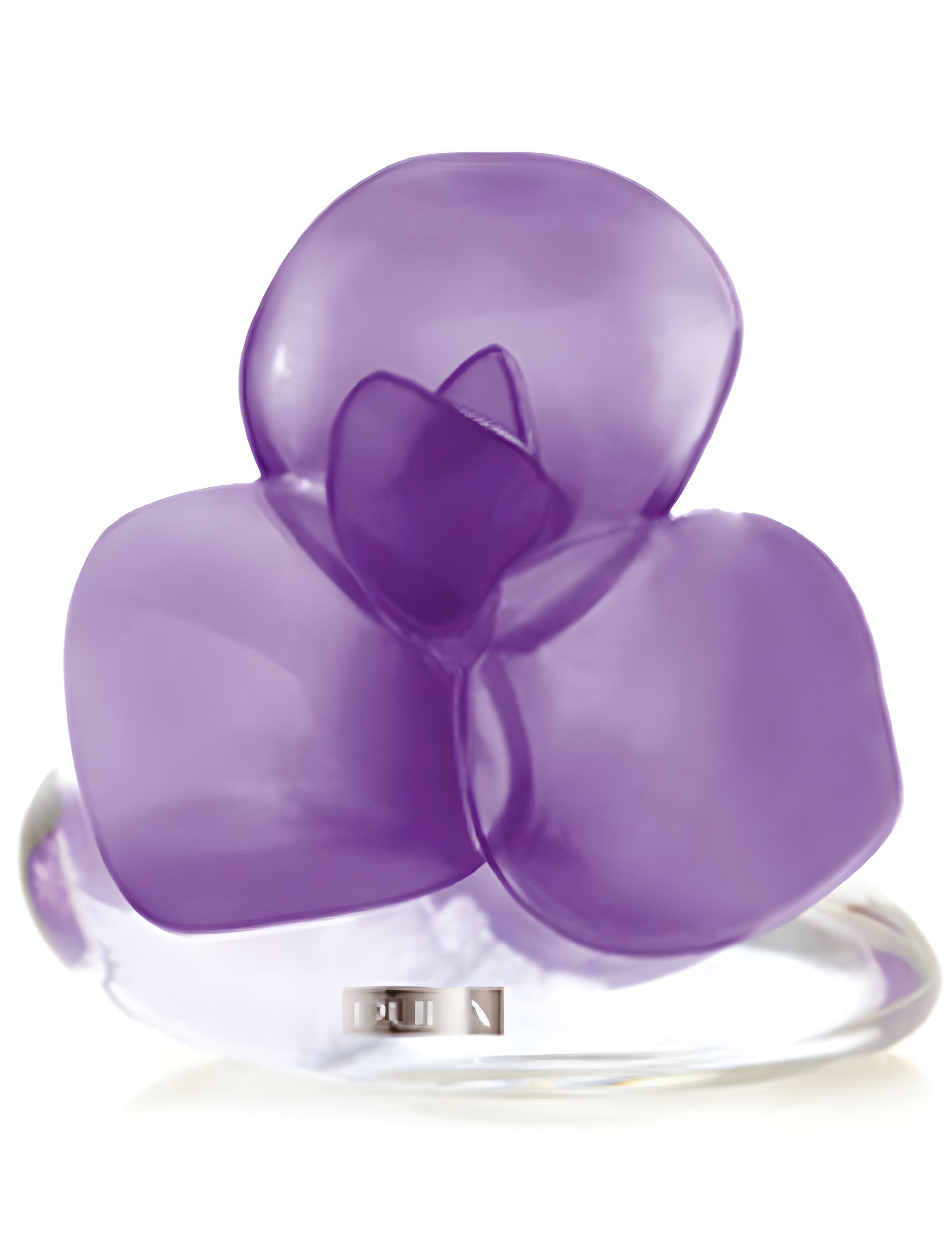 Picture of Very Flower Iris fragrance