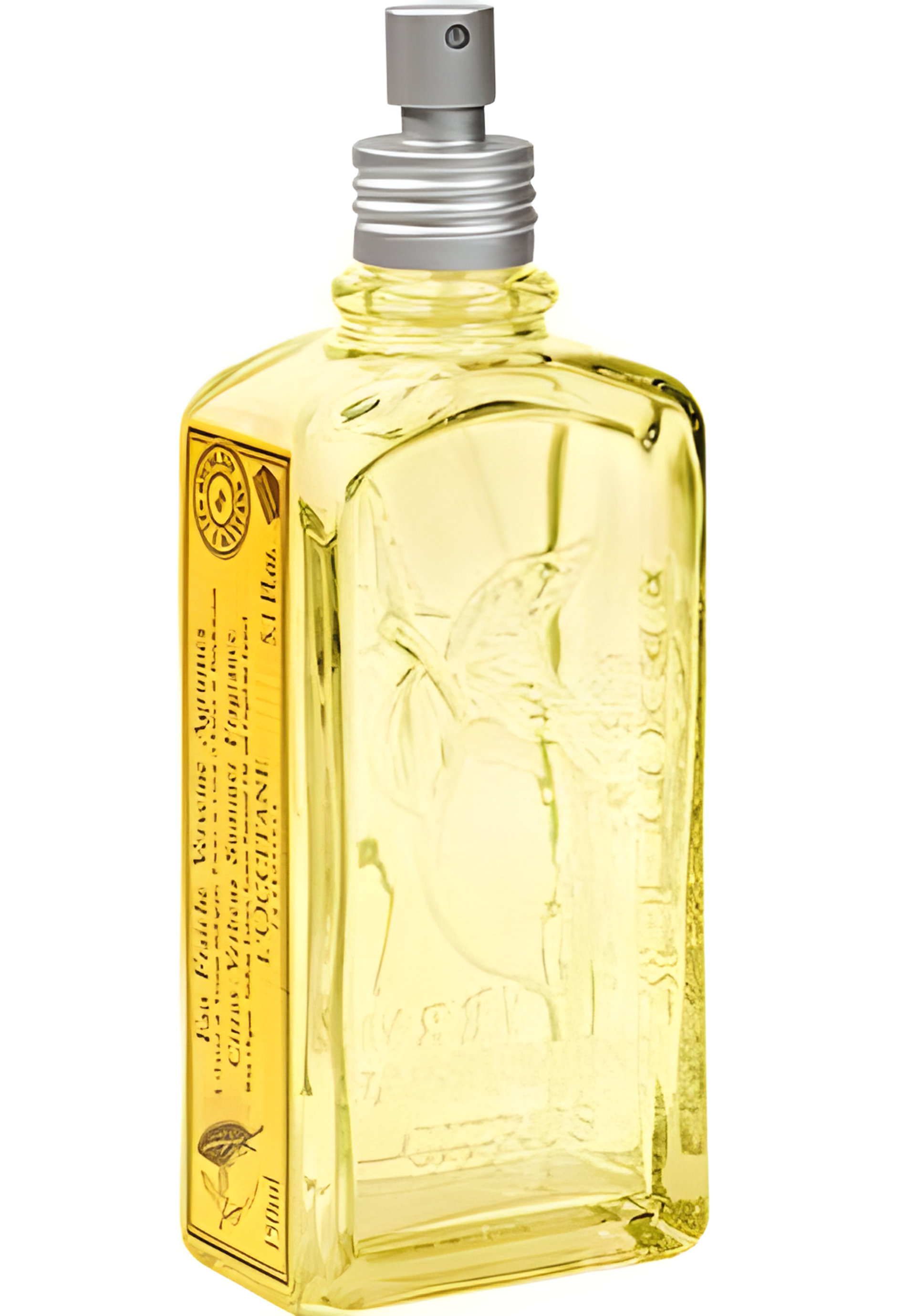 Picture of Citrus Verbena Summer fragrance