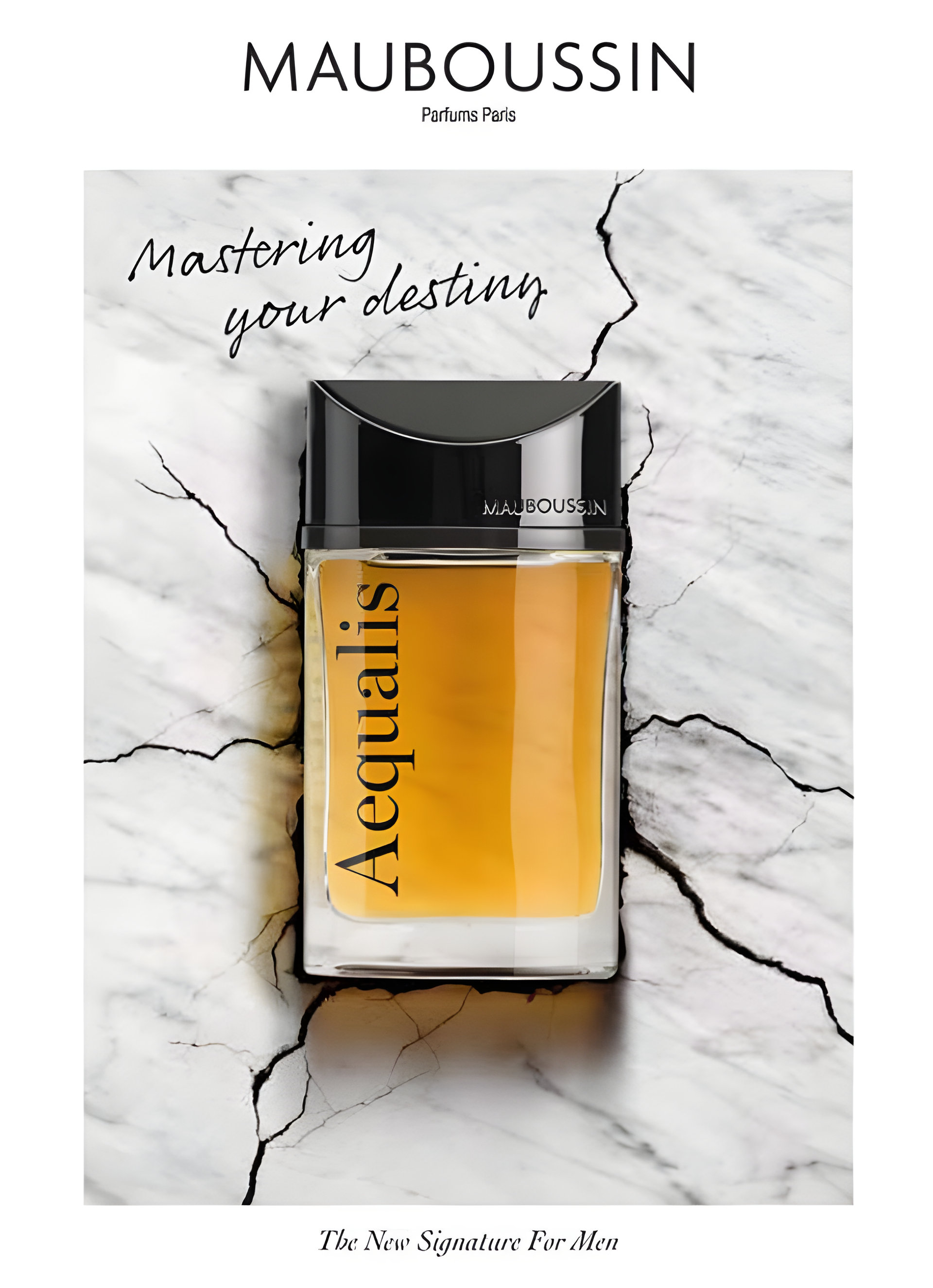 Picture of Aequalis fragrance