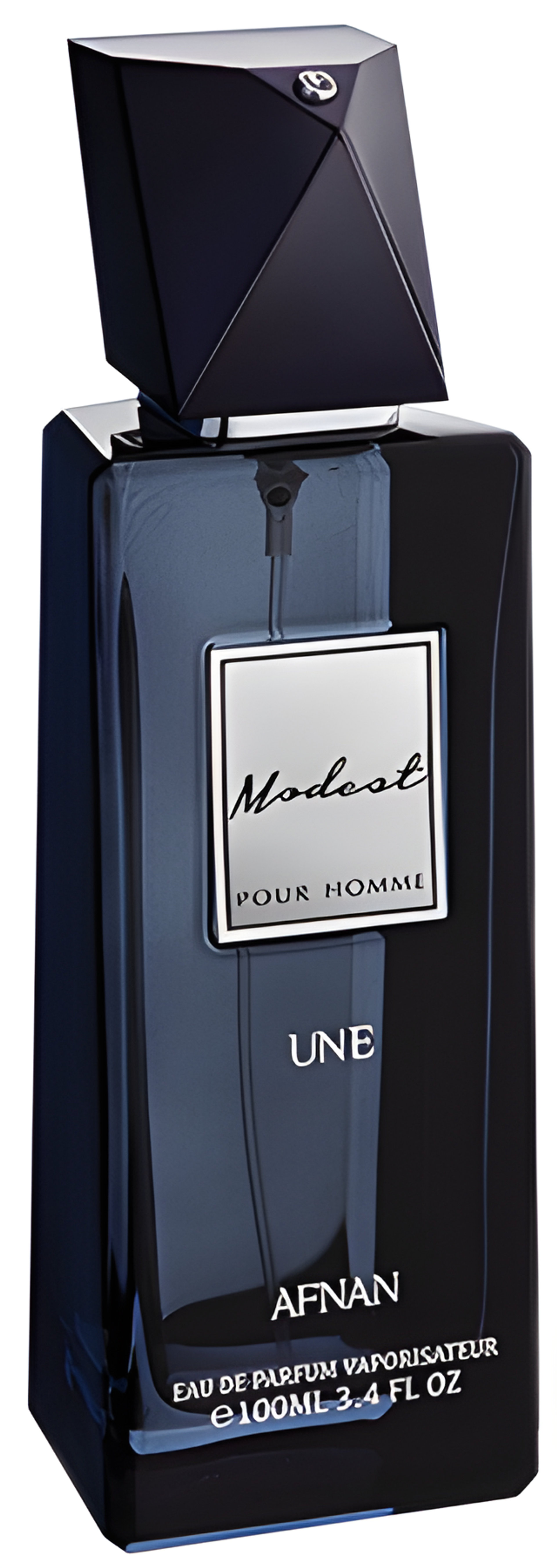 Picture of Modest Pour Homme Une fragrance