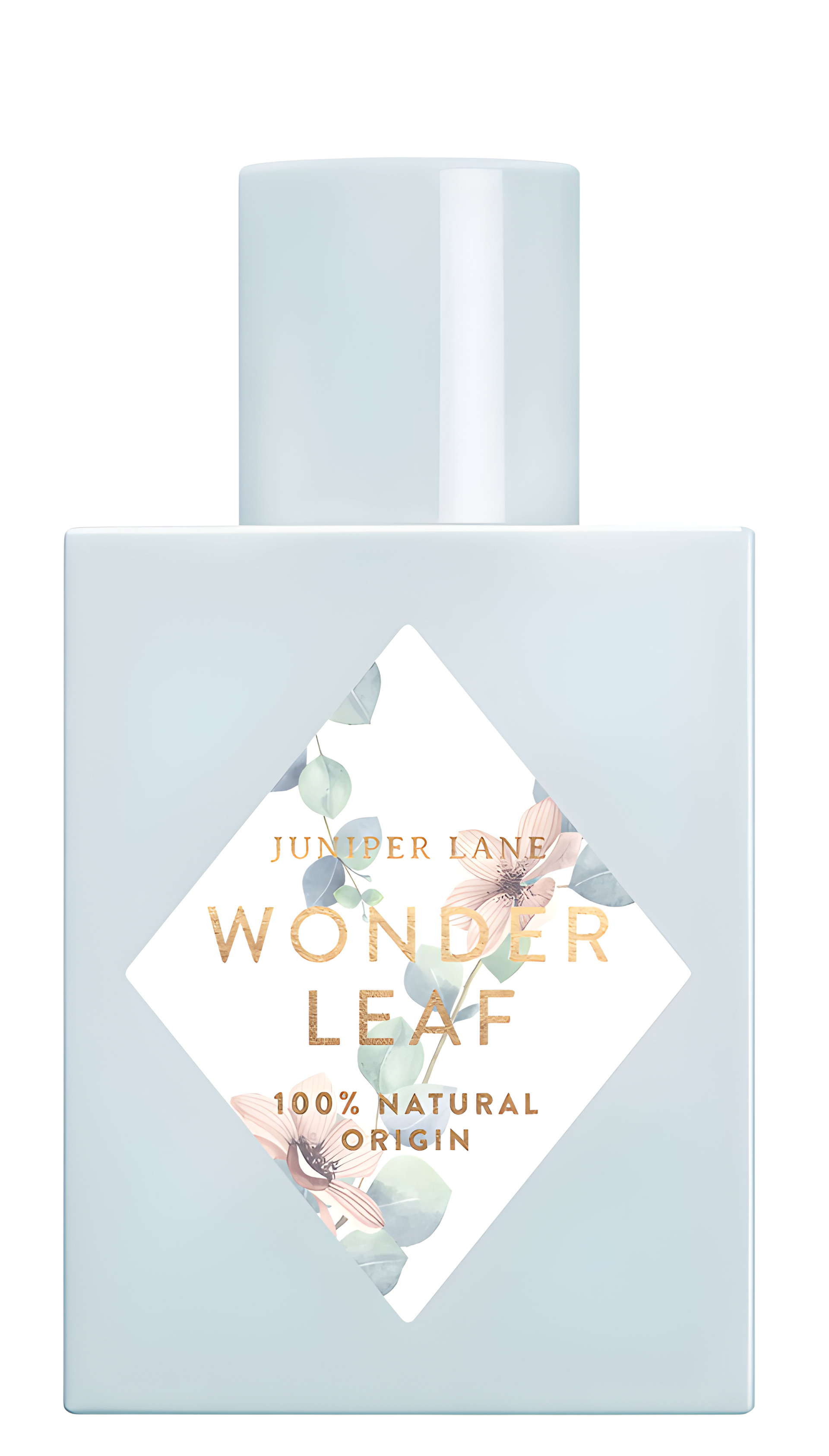 Picture of Wonder Leaf fragrance