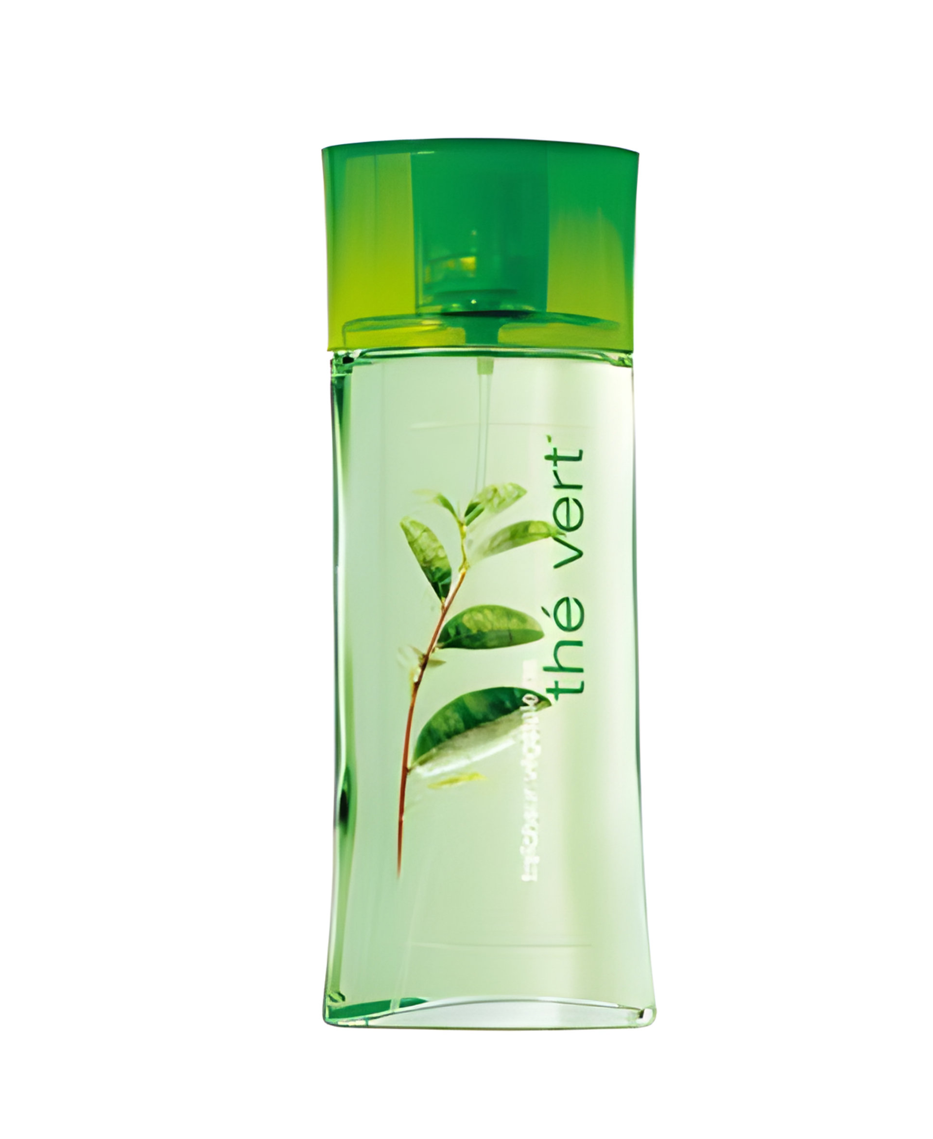 Picture of Fraicheur Vegetale the Vert fragrance