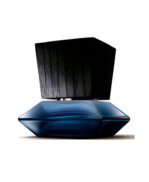 Private Collection Ambar by Adolfo Dominguez perfume bottle