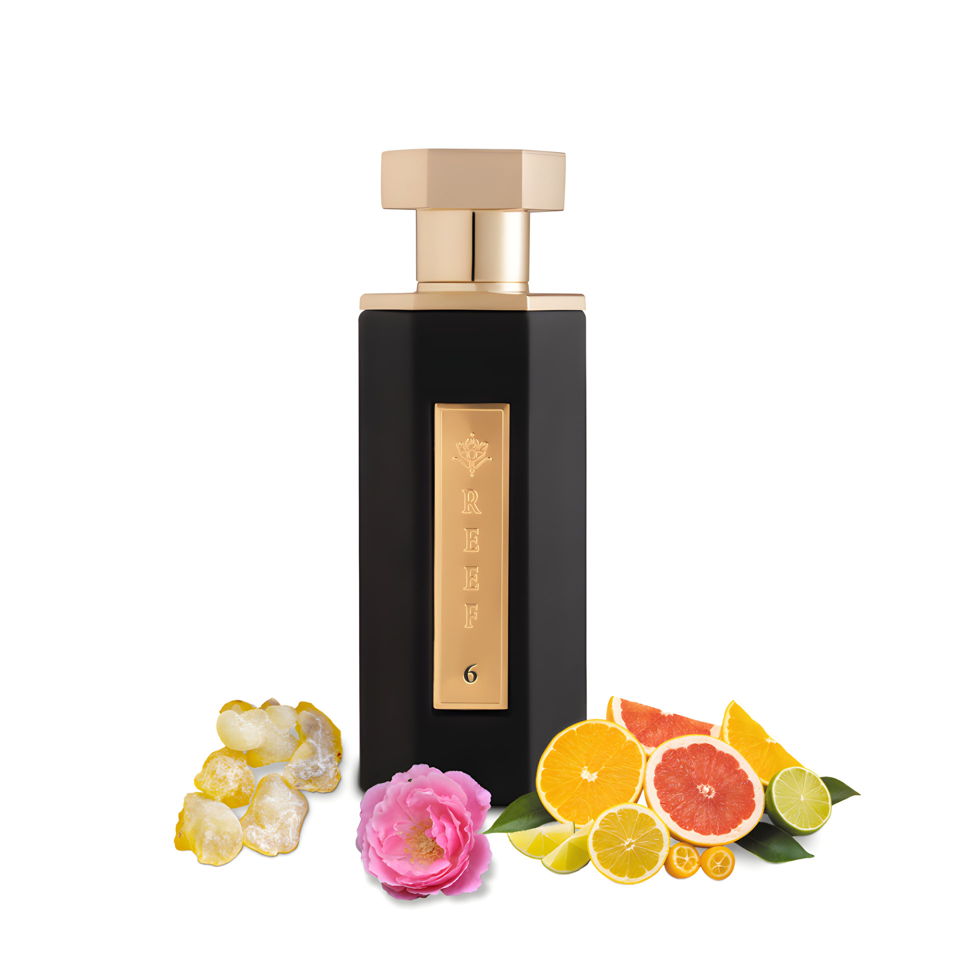 Picture of Reef 06 fragrance