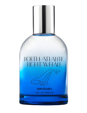 North Atlantic Right Whale by Sanctuary perfume bottle