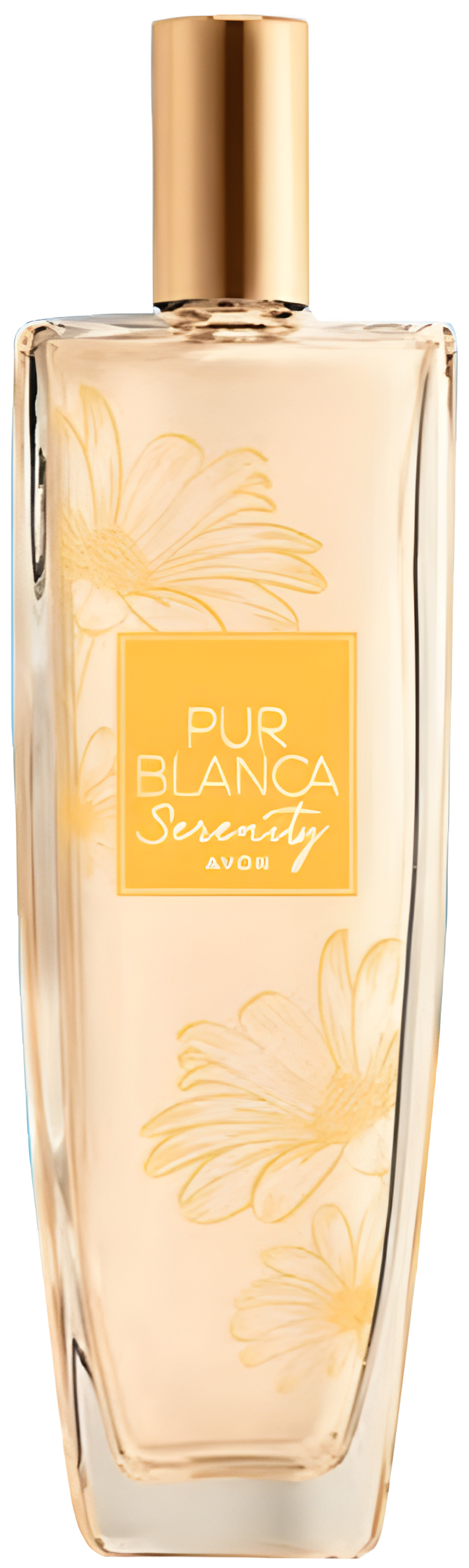 Picture of Pur Blanca Serenity fragrance