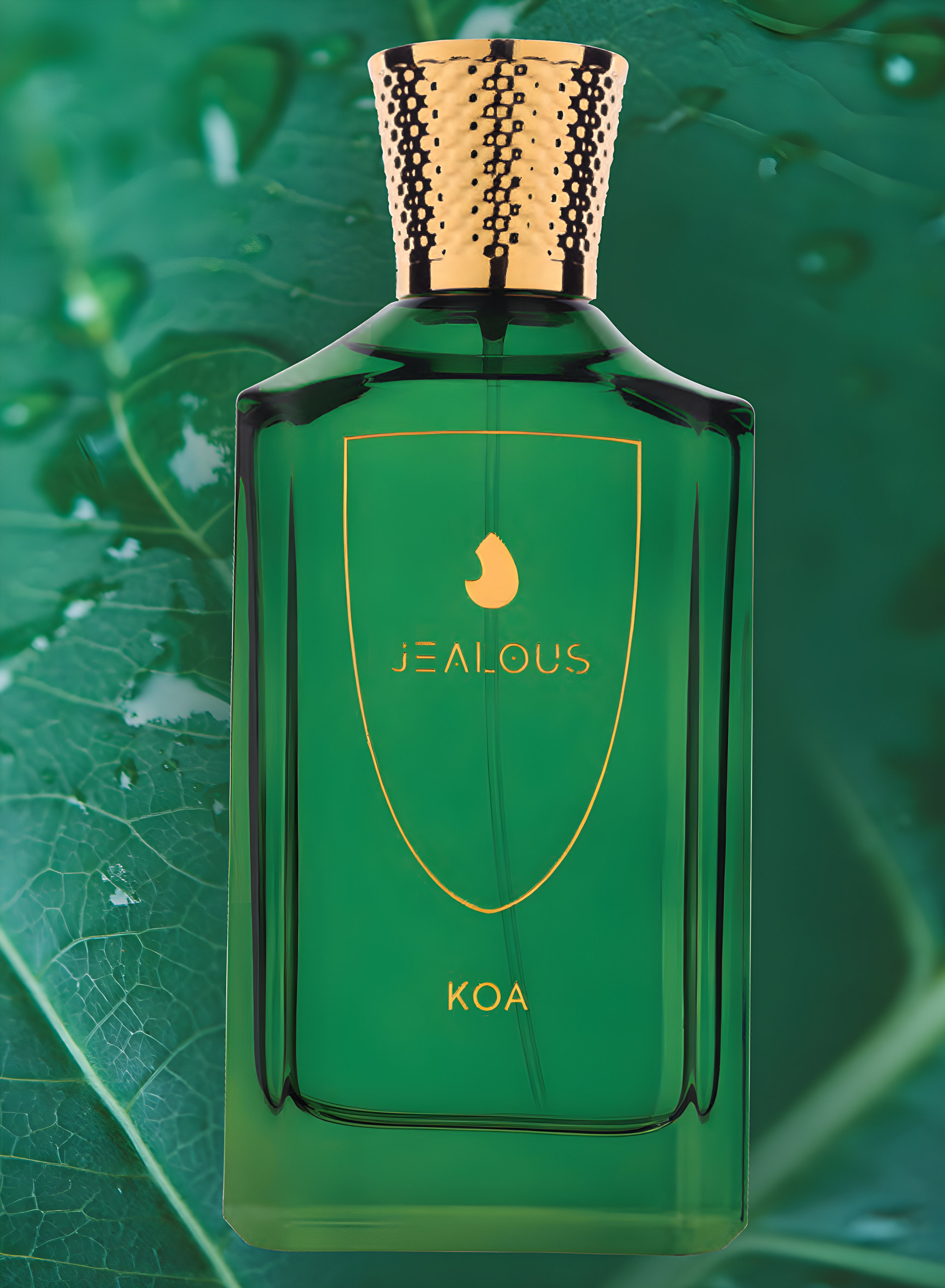 Picture of Koa fragrance