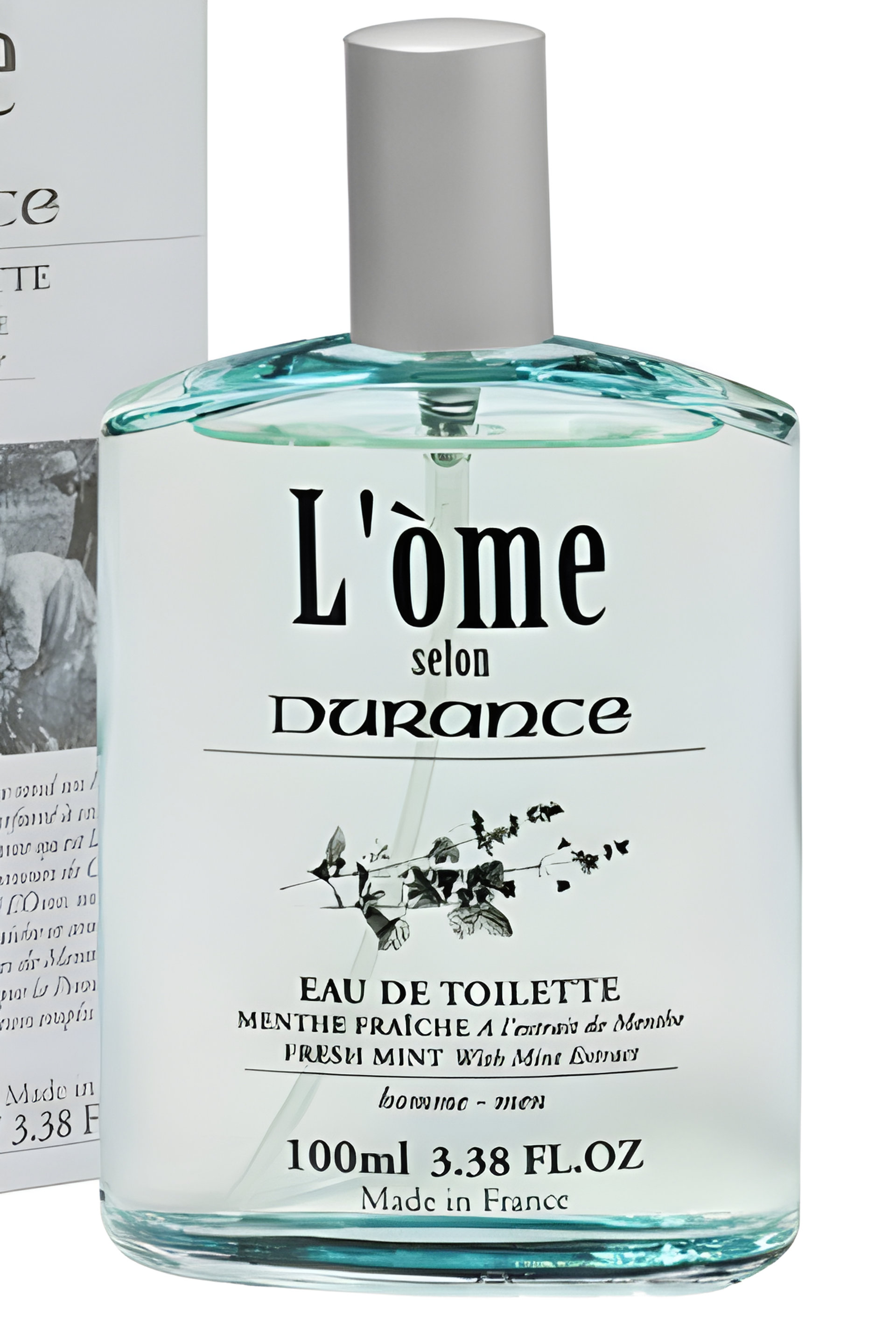 Picture of Fresh Mint fragrance