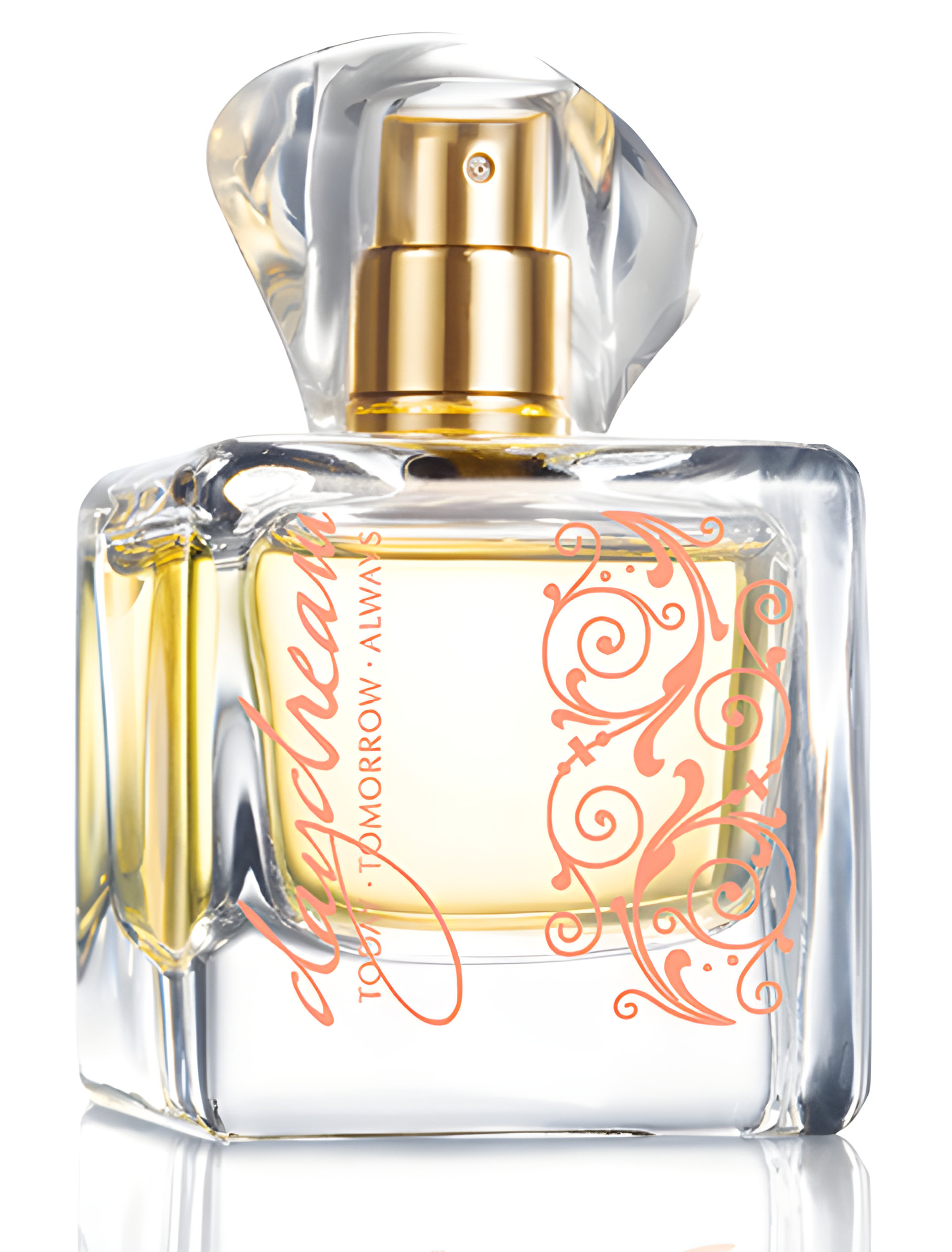 Picture of Today Tomorrow Always Daydream fragrance