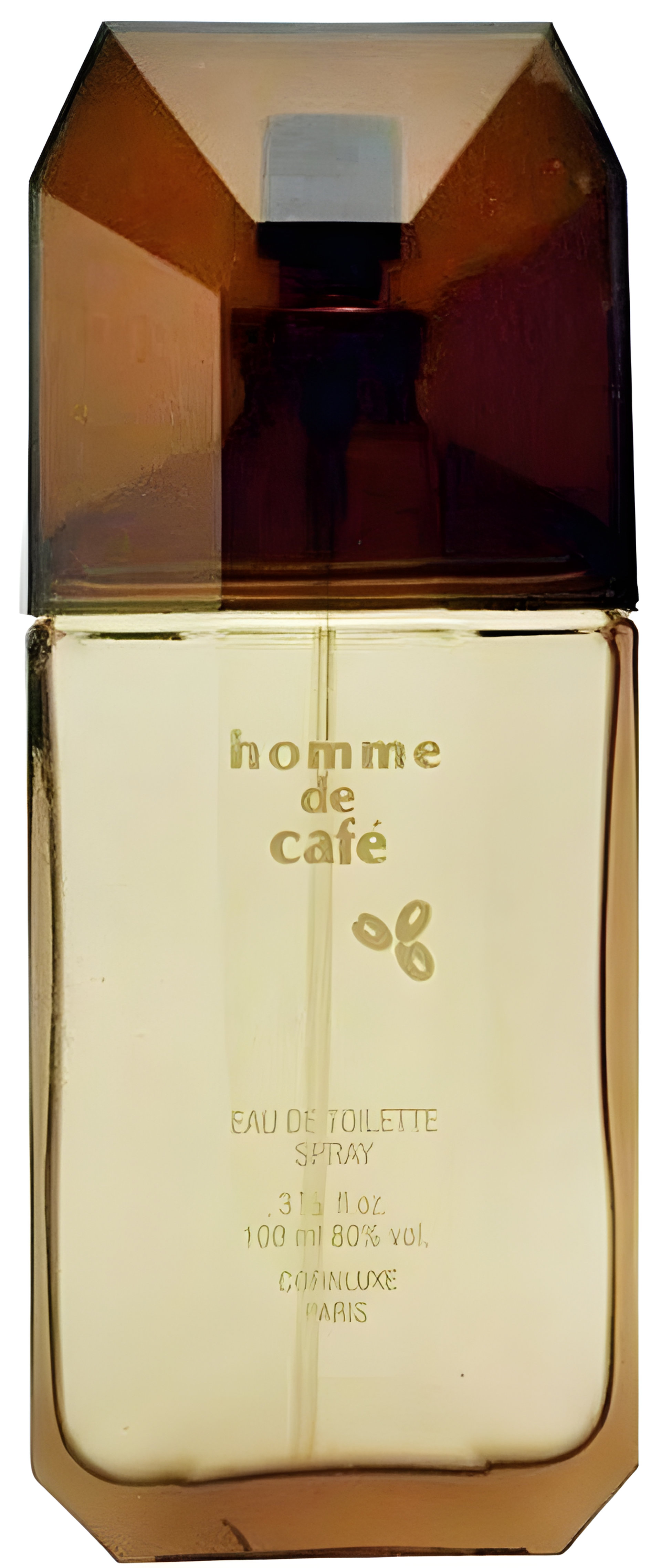 Picture of Homme de Café fragrance