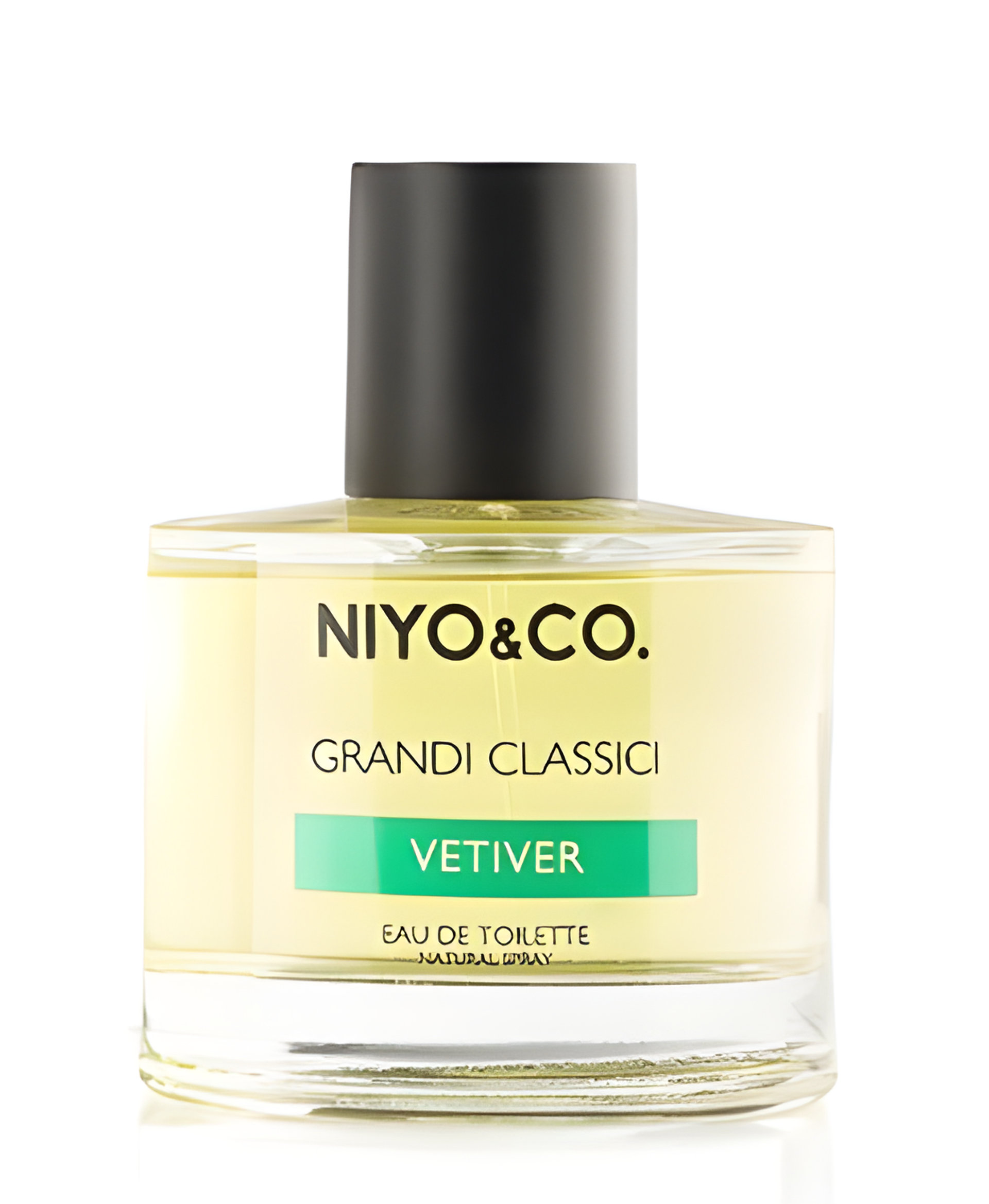 Picture of Vetiver fragrance