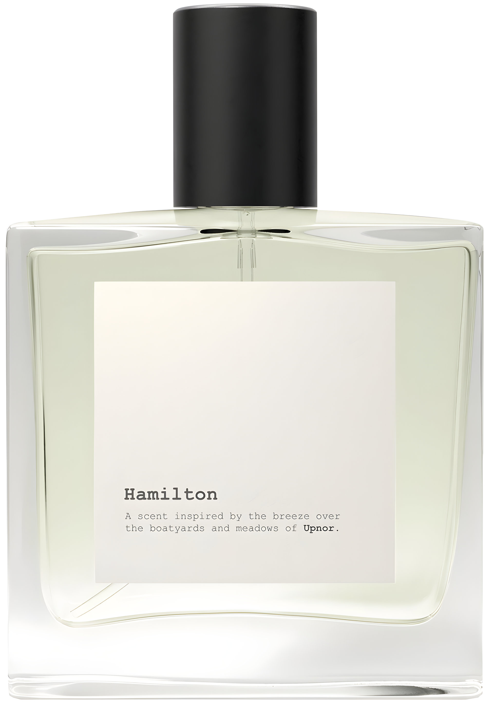 Picture of Hamilton fragrance