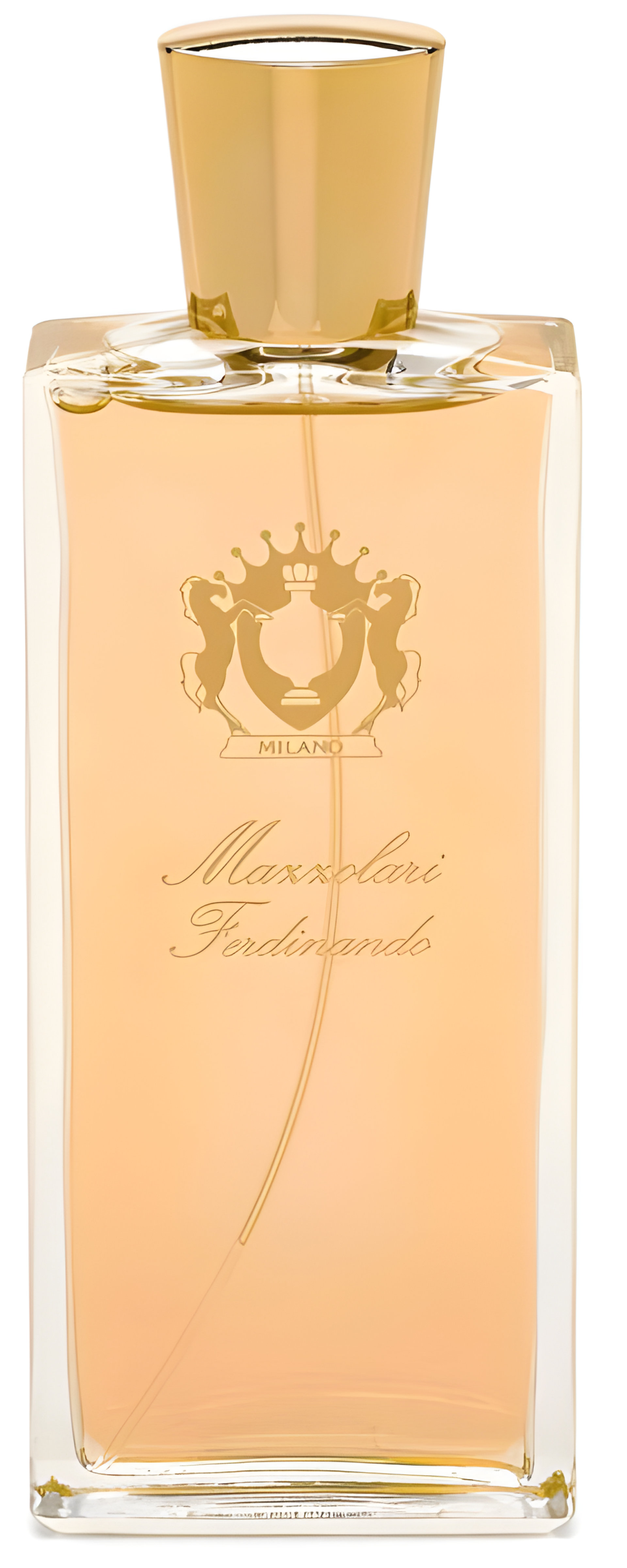 Picture of Ferdinando fragrance