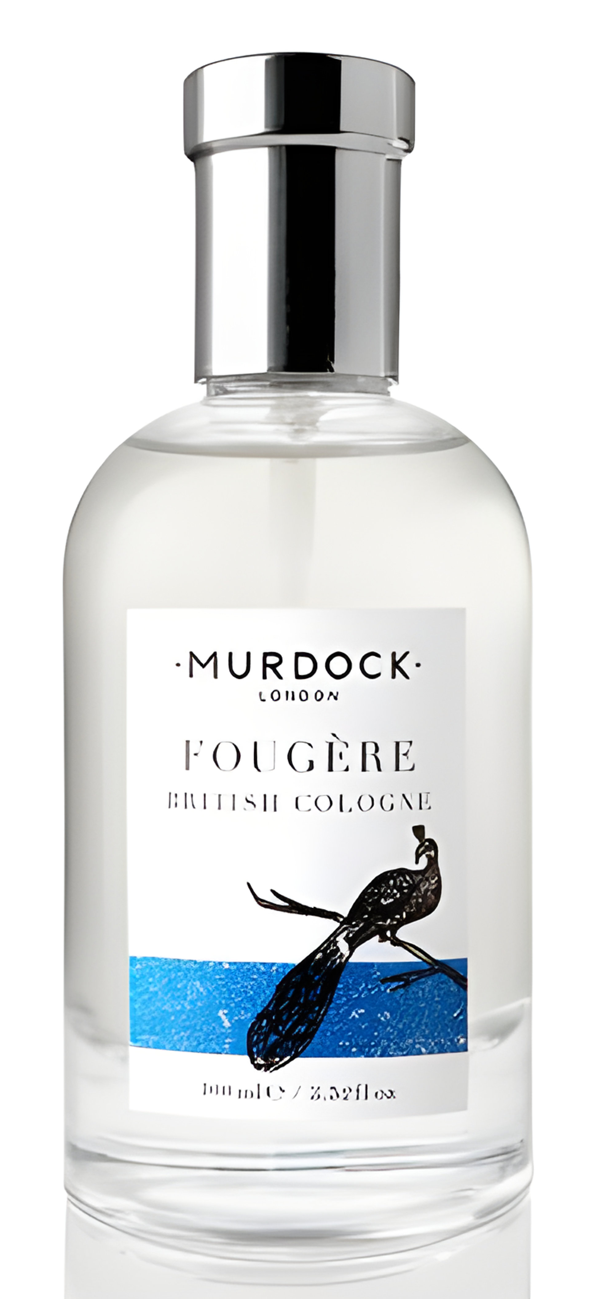 Picture of Fougere fragrance