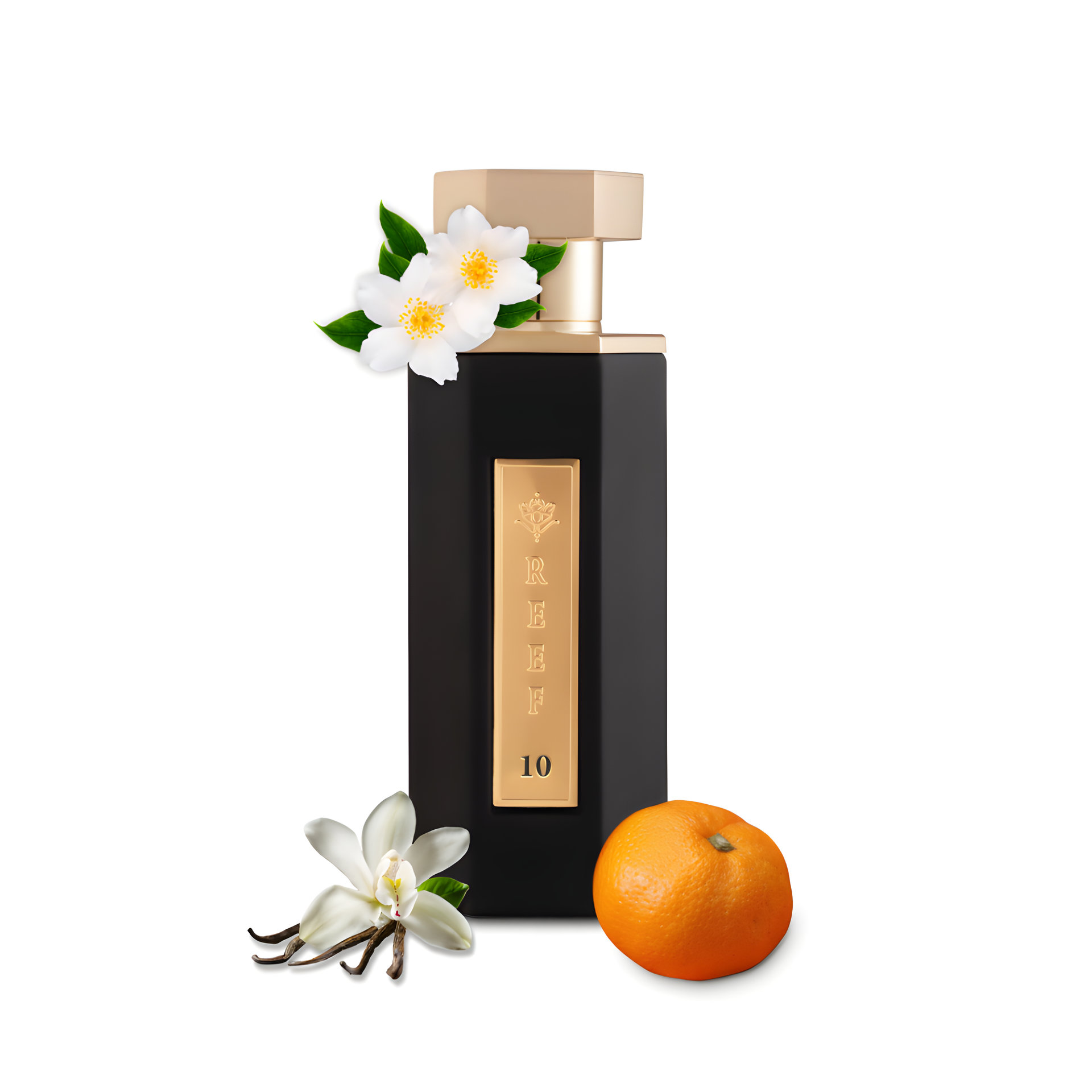 Picture of Reef 10 fragrance