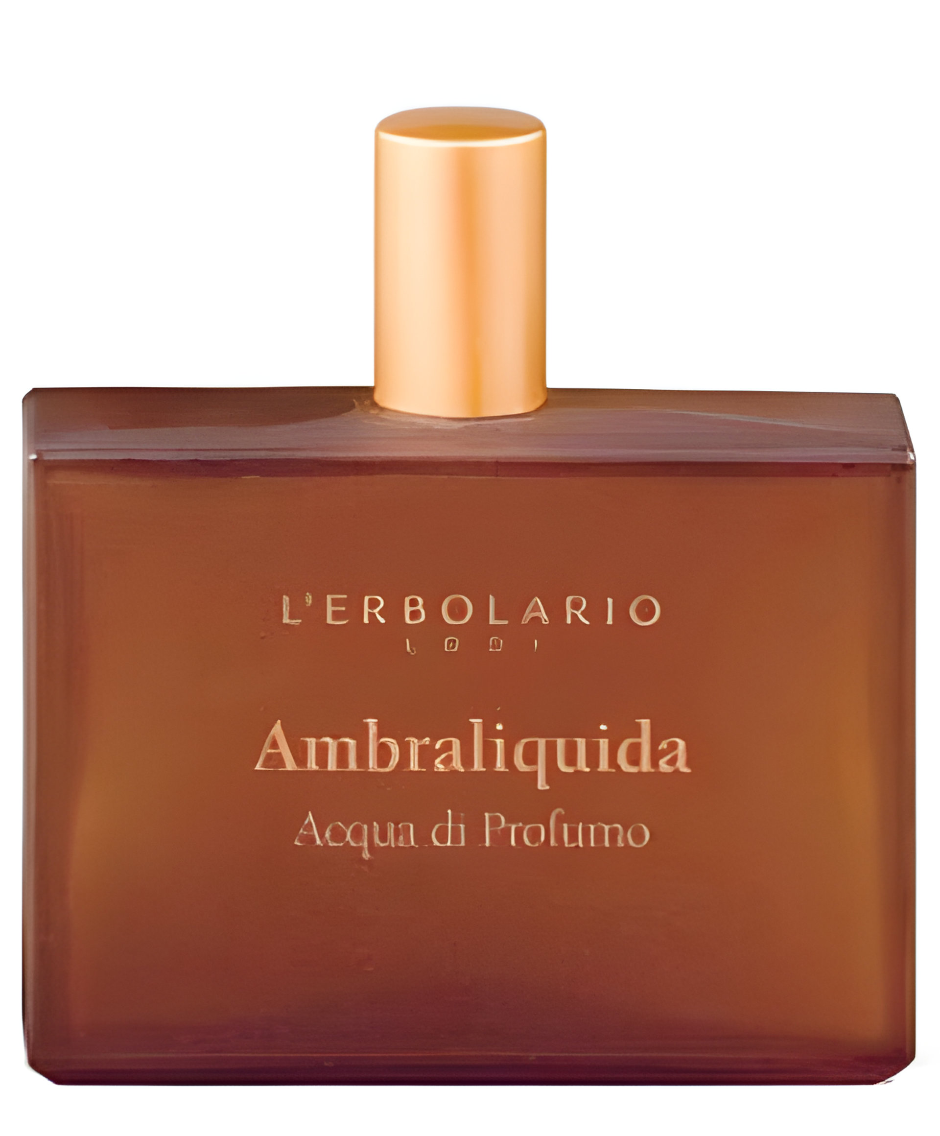 Picture of Ambraliquida fragrance