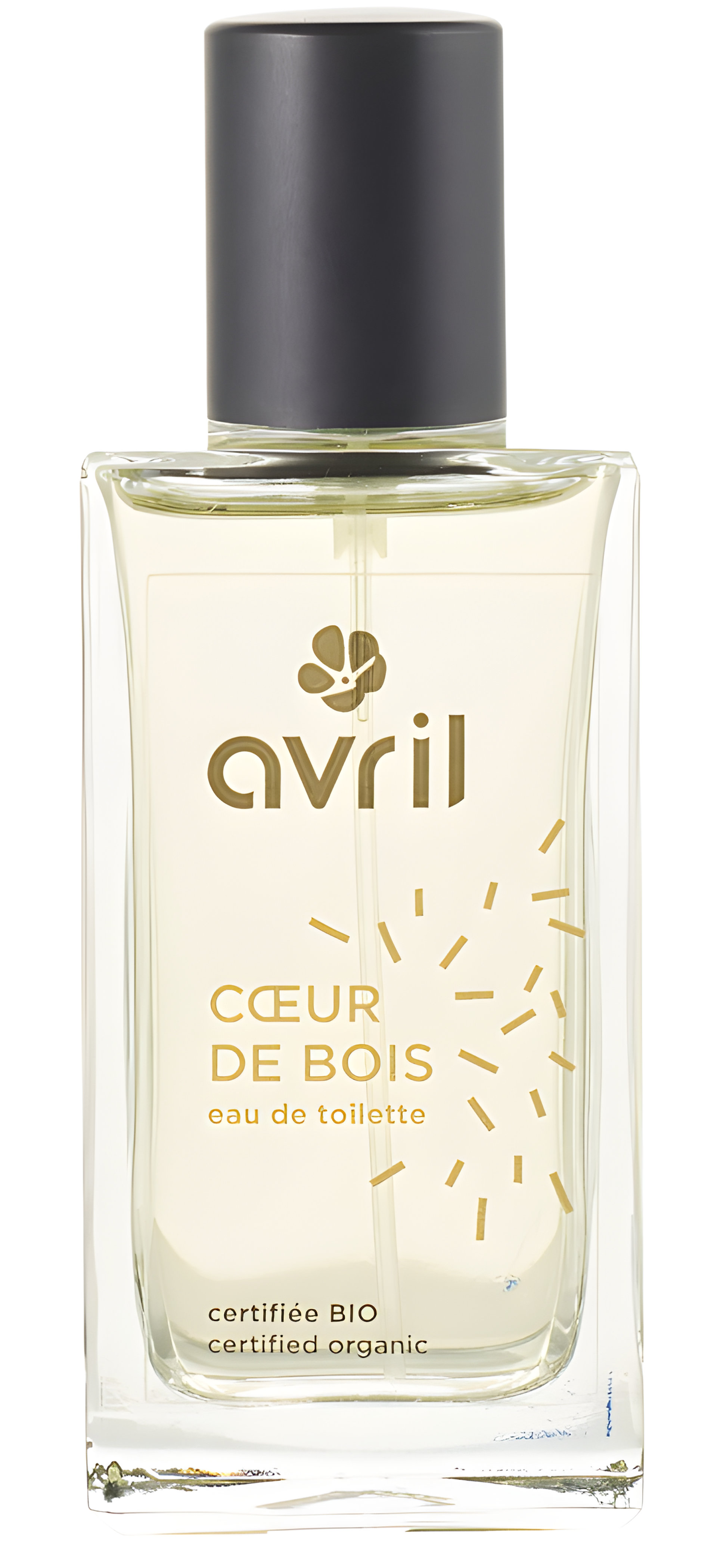 Picture of Coeur de Bois fragrance