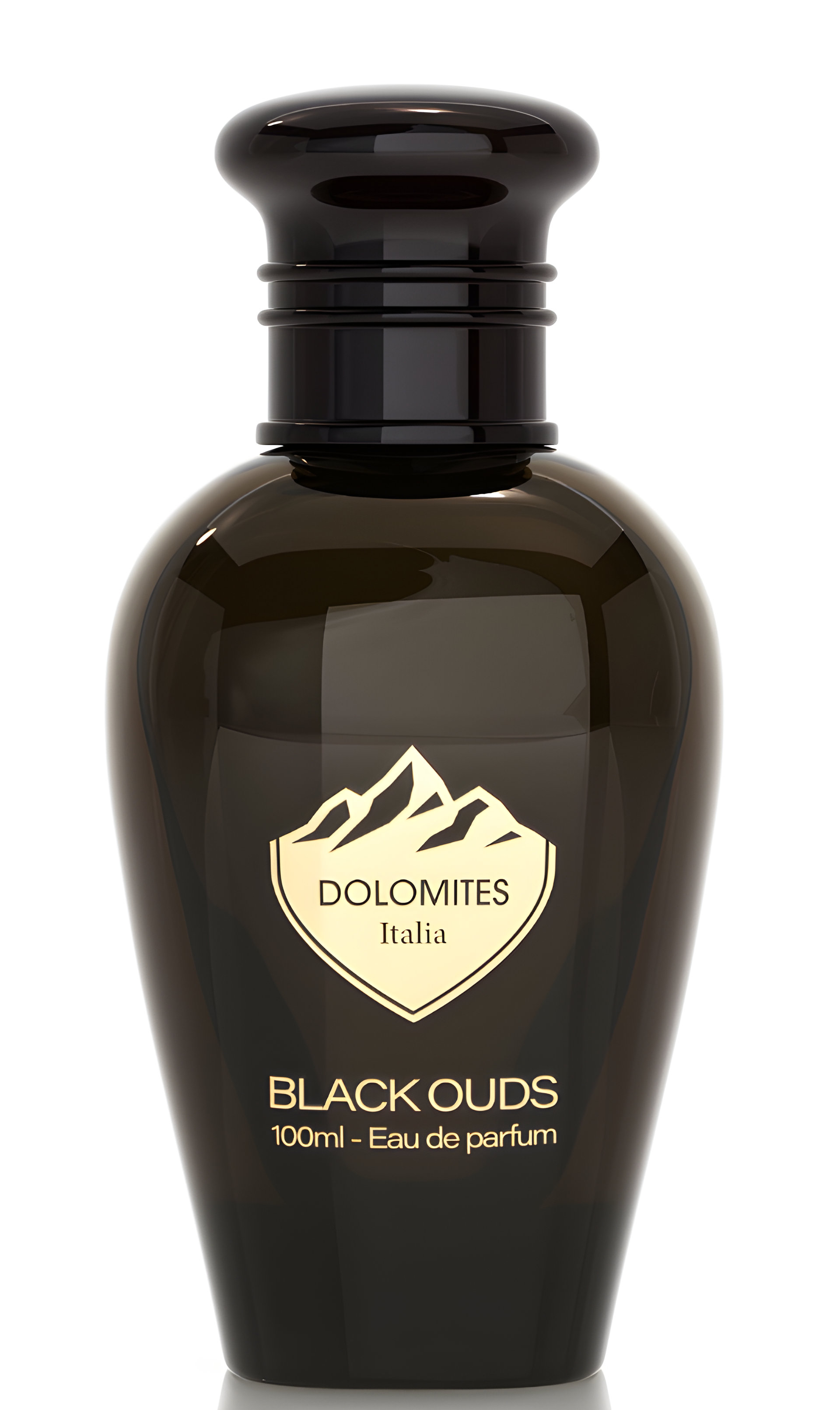 Picture of Black Ouds fragrance