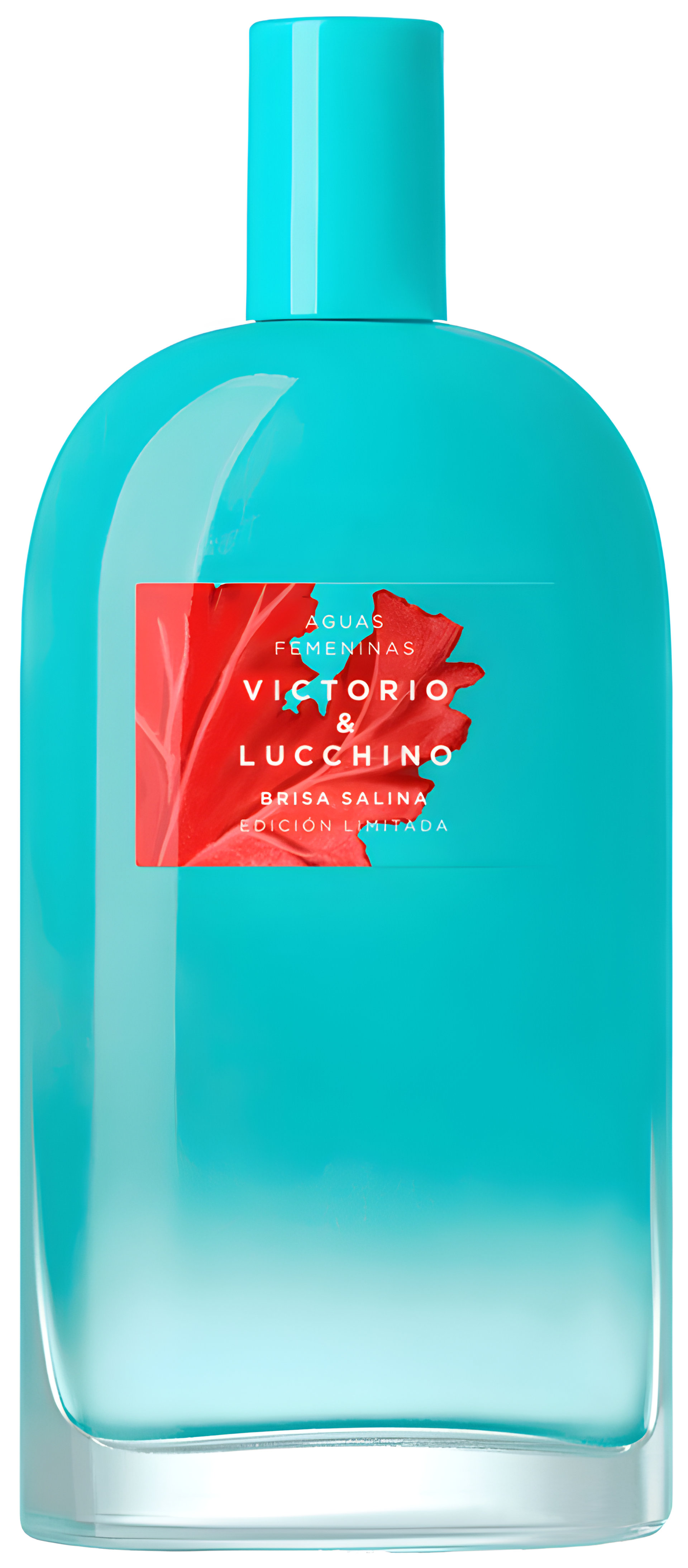 Picture of Brisa Salina fragrance