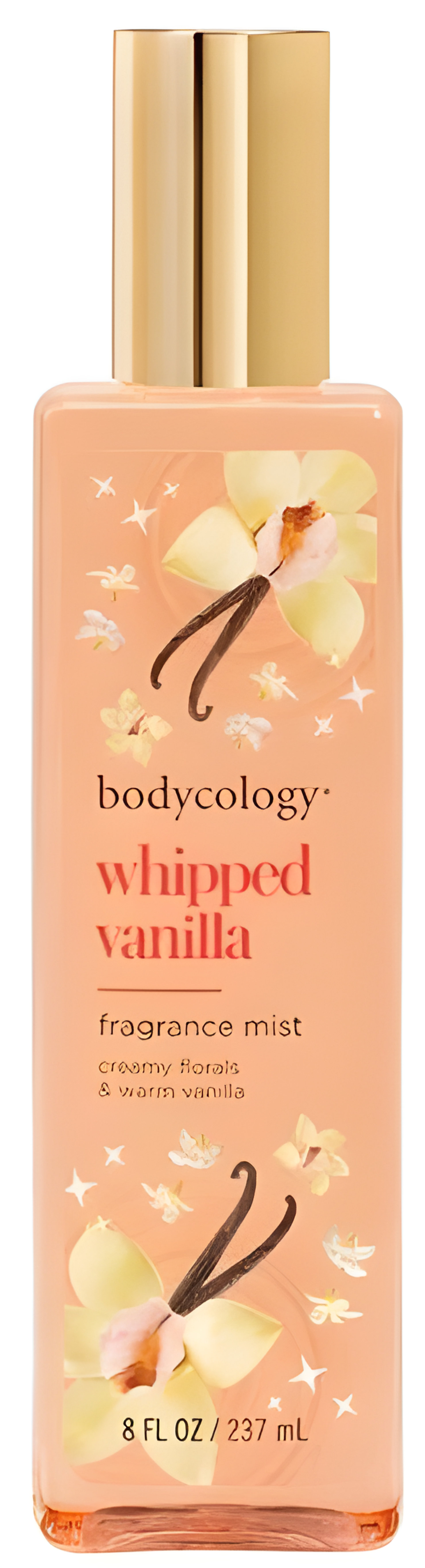 Picture of Whipped Vanilla fragrance