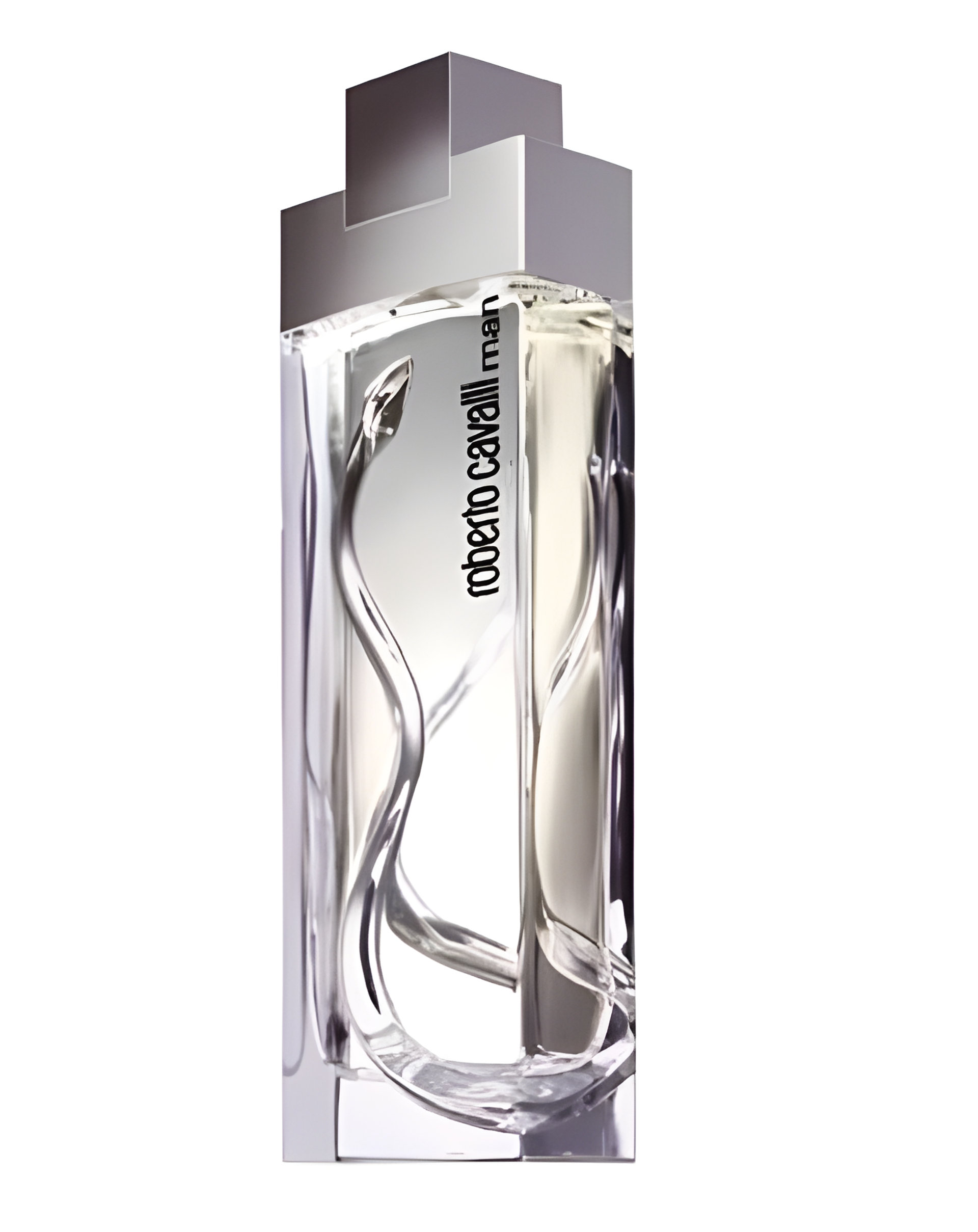 Picture of Roberto Cavalli Man fragrance