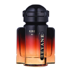 R2B2 A.I. by Reyane Tradition perfume bottle