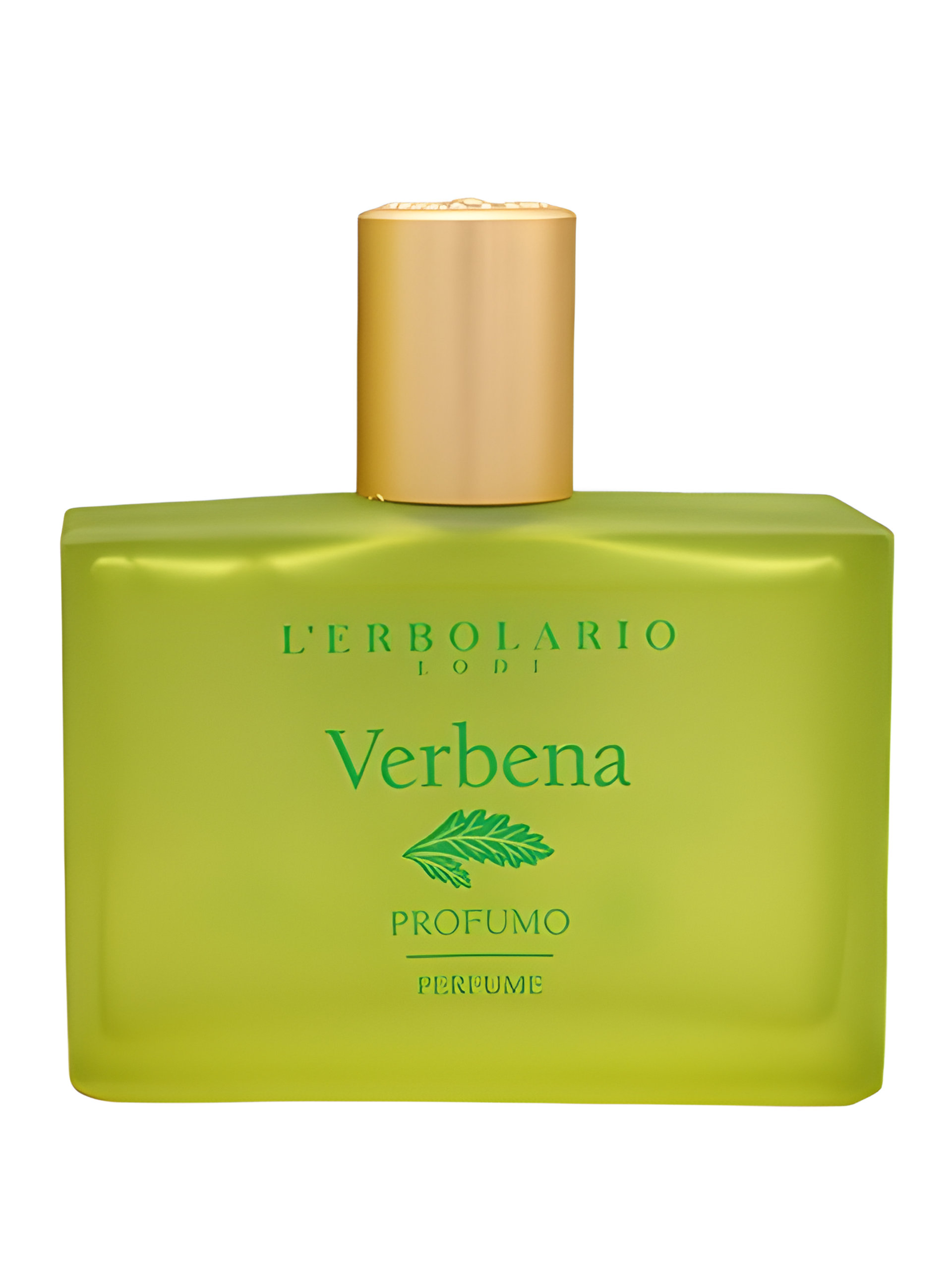 Picture of Verbena fragrance