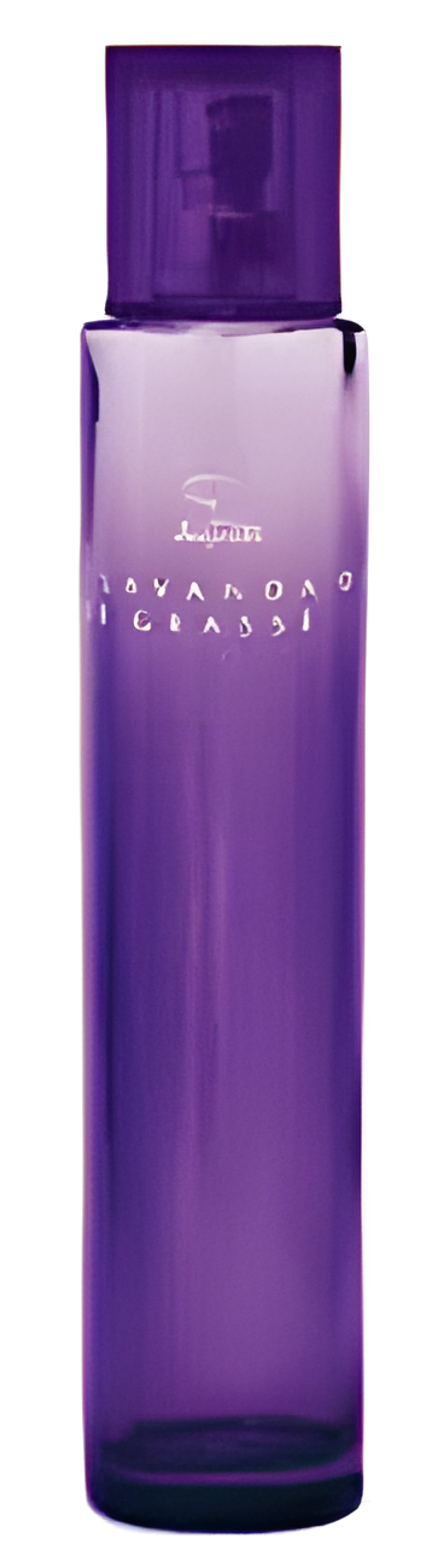 Picture of Lavanda de Grasse fragrance