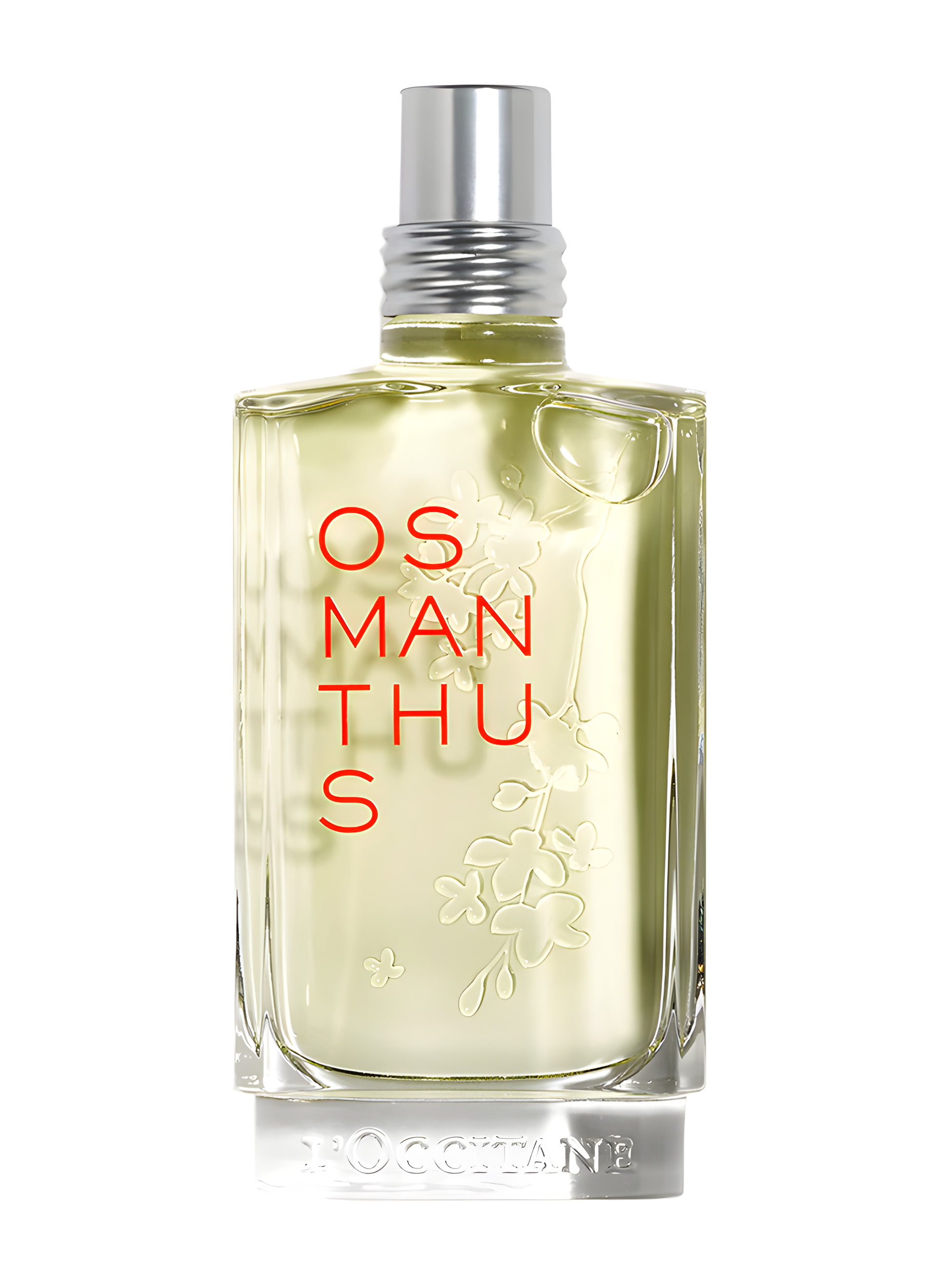 Picture of Osmanthus fragrance