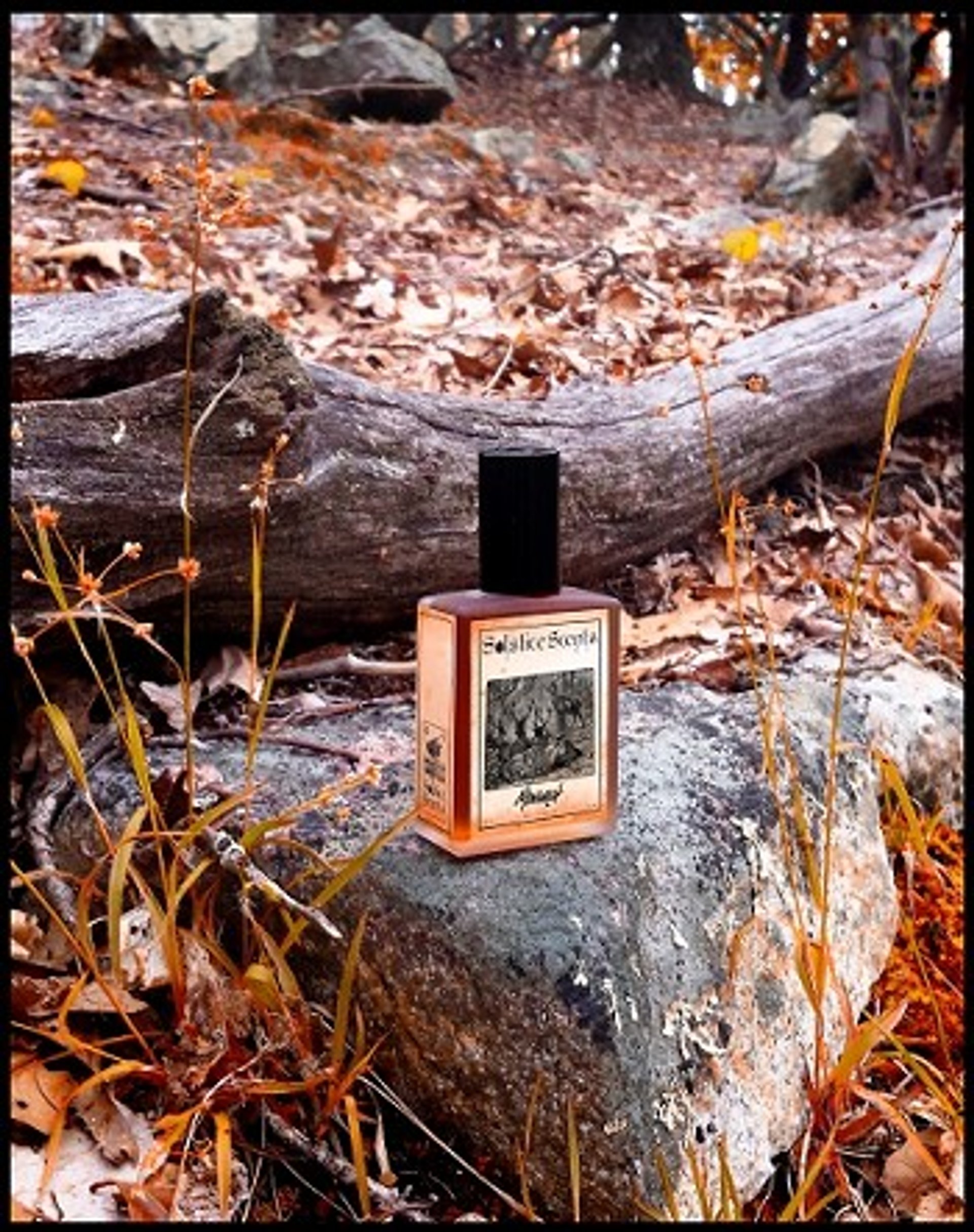 Picture of Monarch fragrance