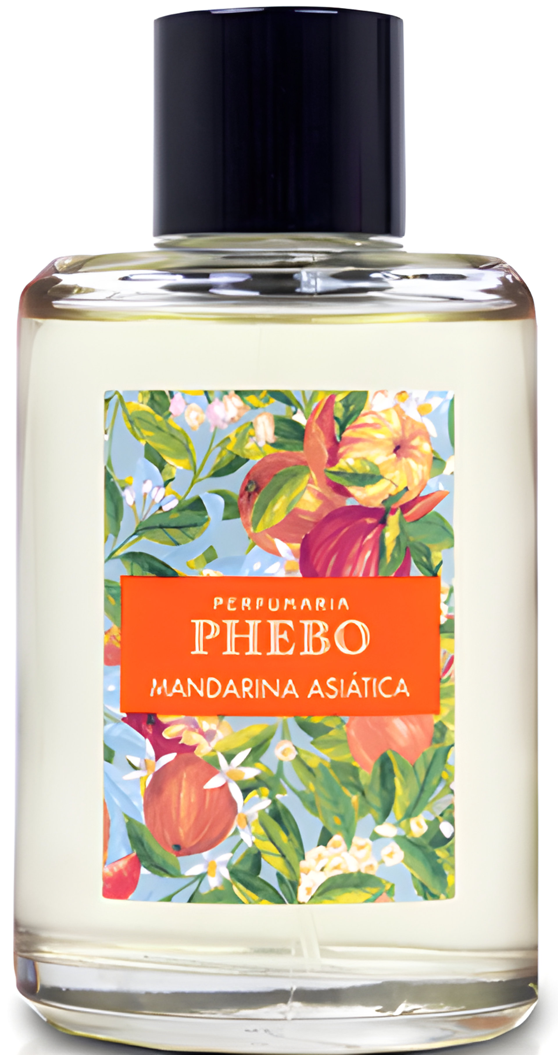 Picture of Mandarina Asiática fragrance