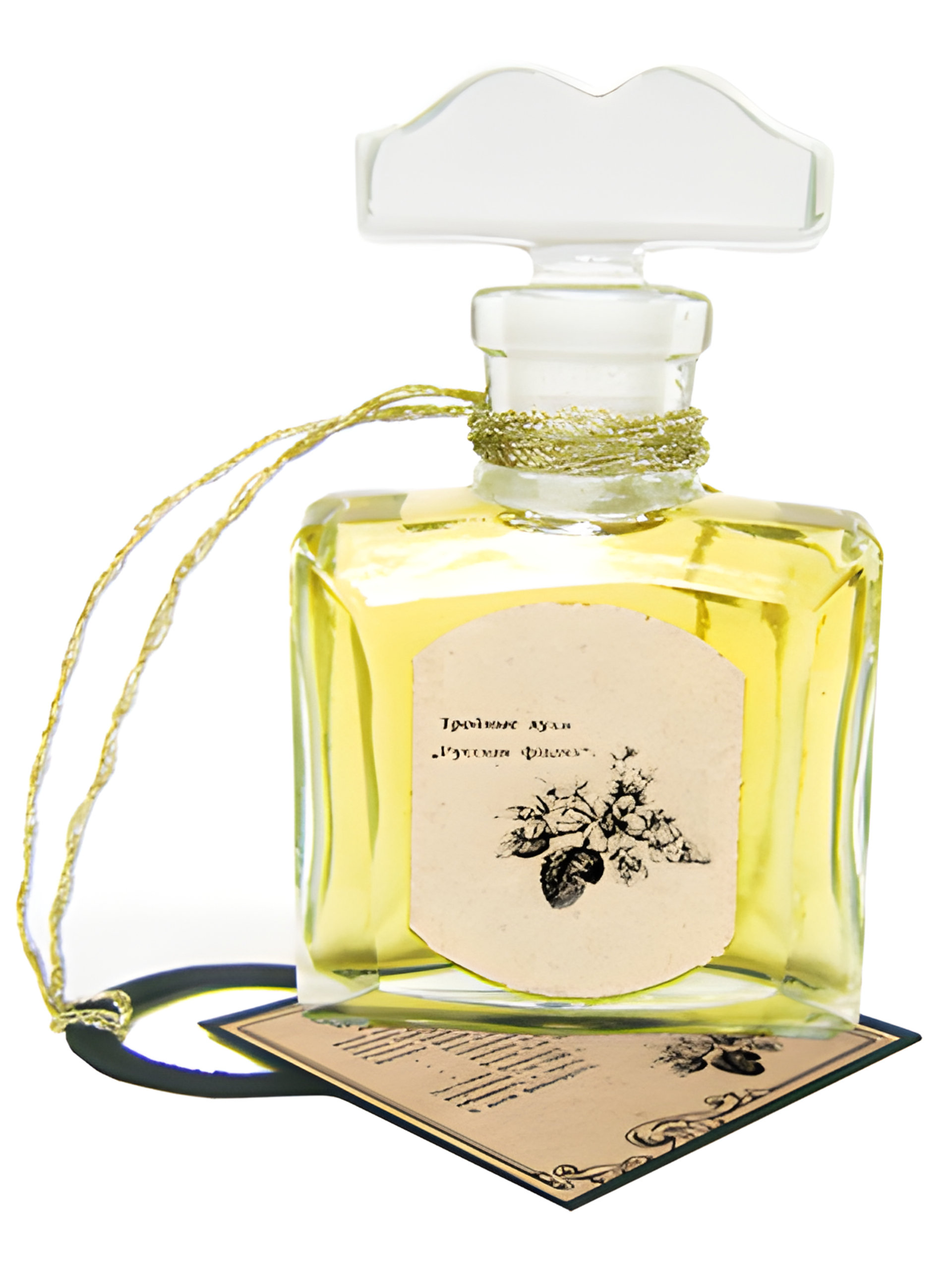 Picture of Violette Russe fragrance
