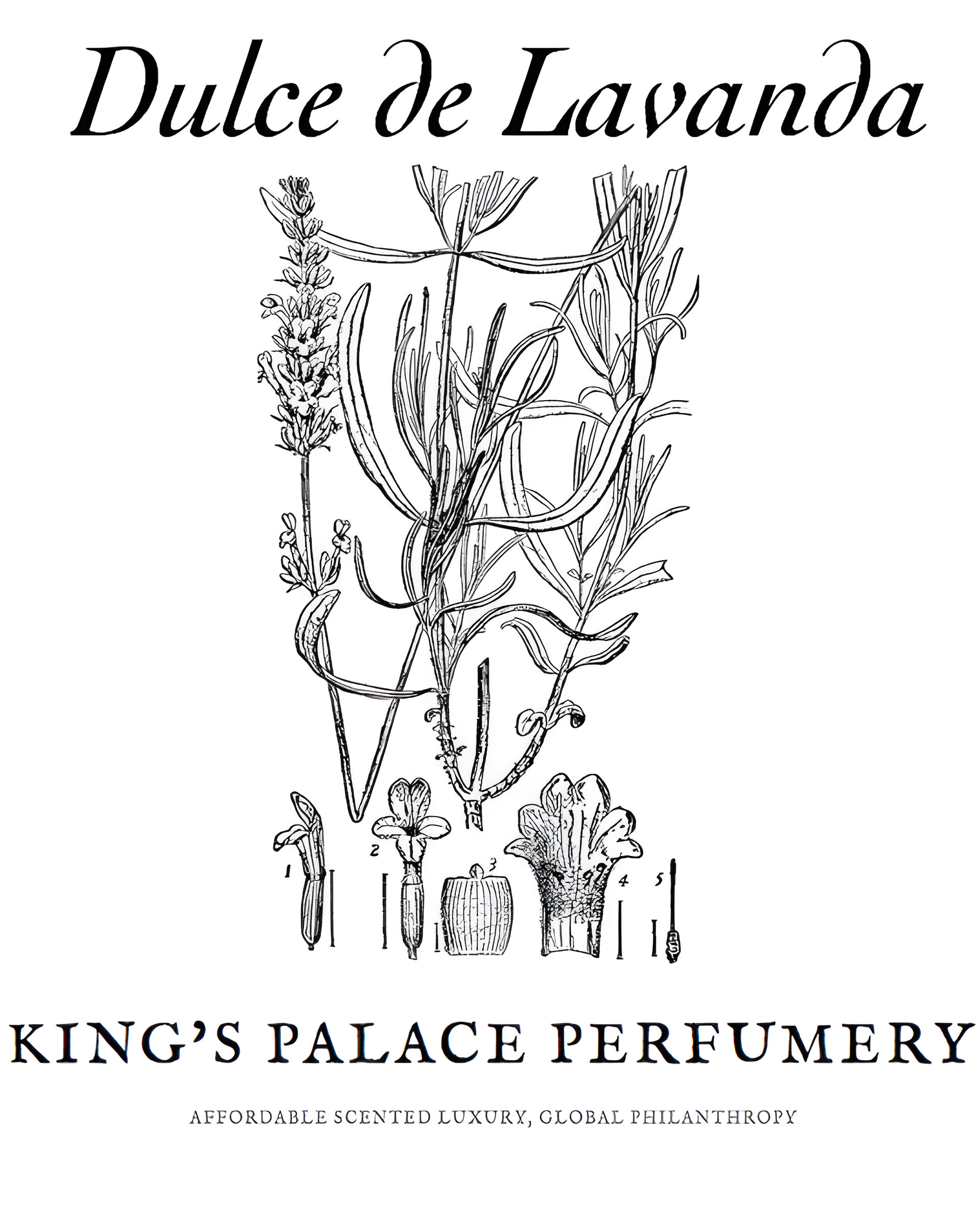 Picture of Dulce de Lavanda fragrance