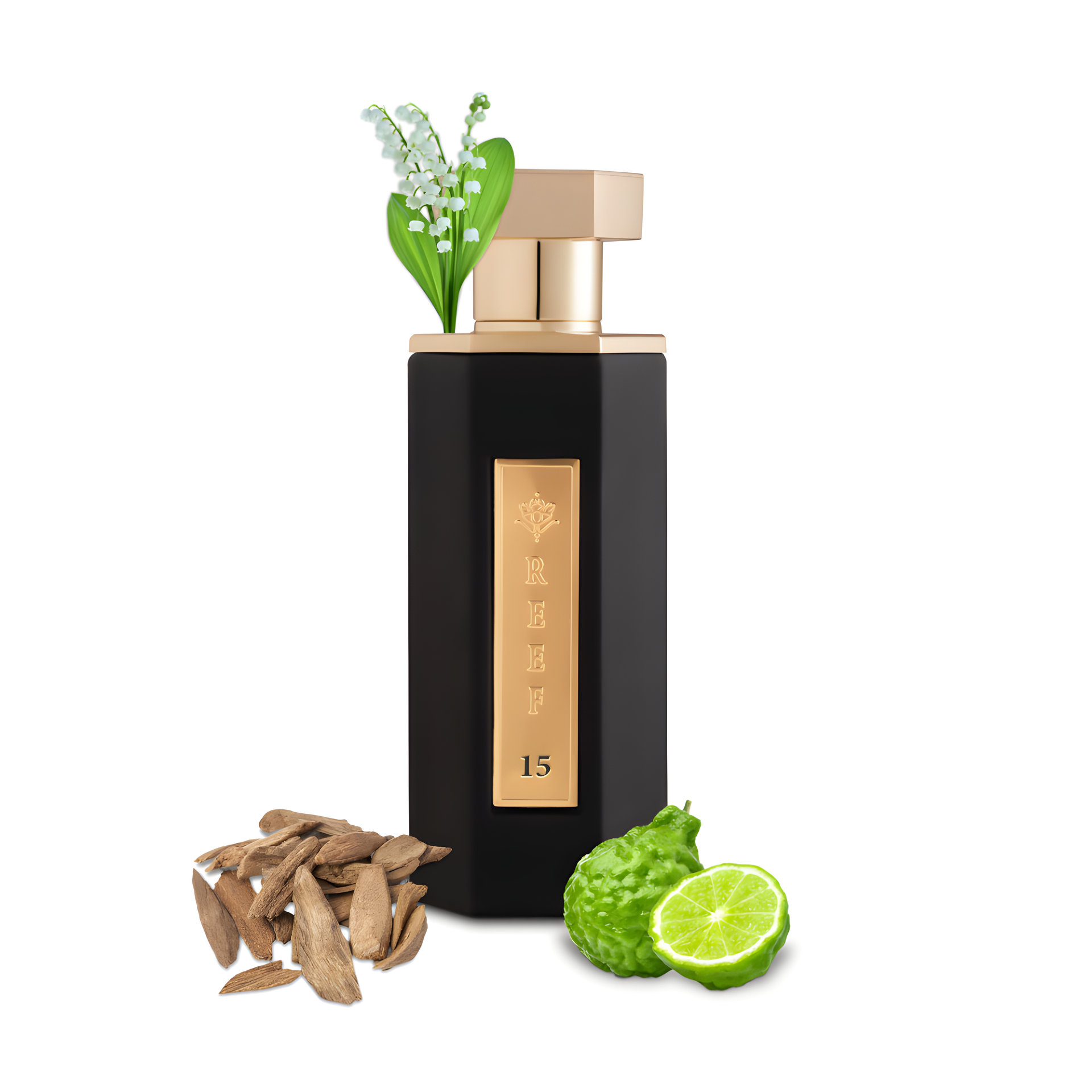 Picture of REEF15 fragrance