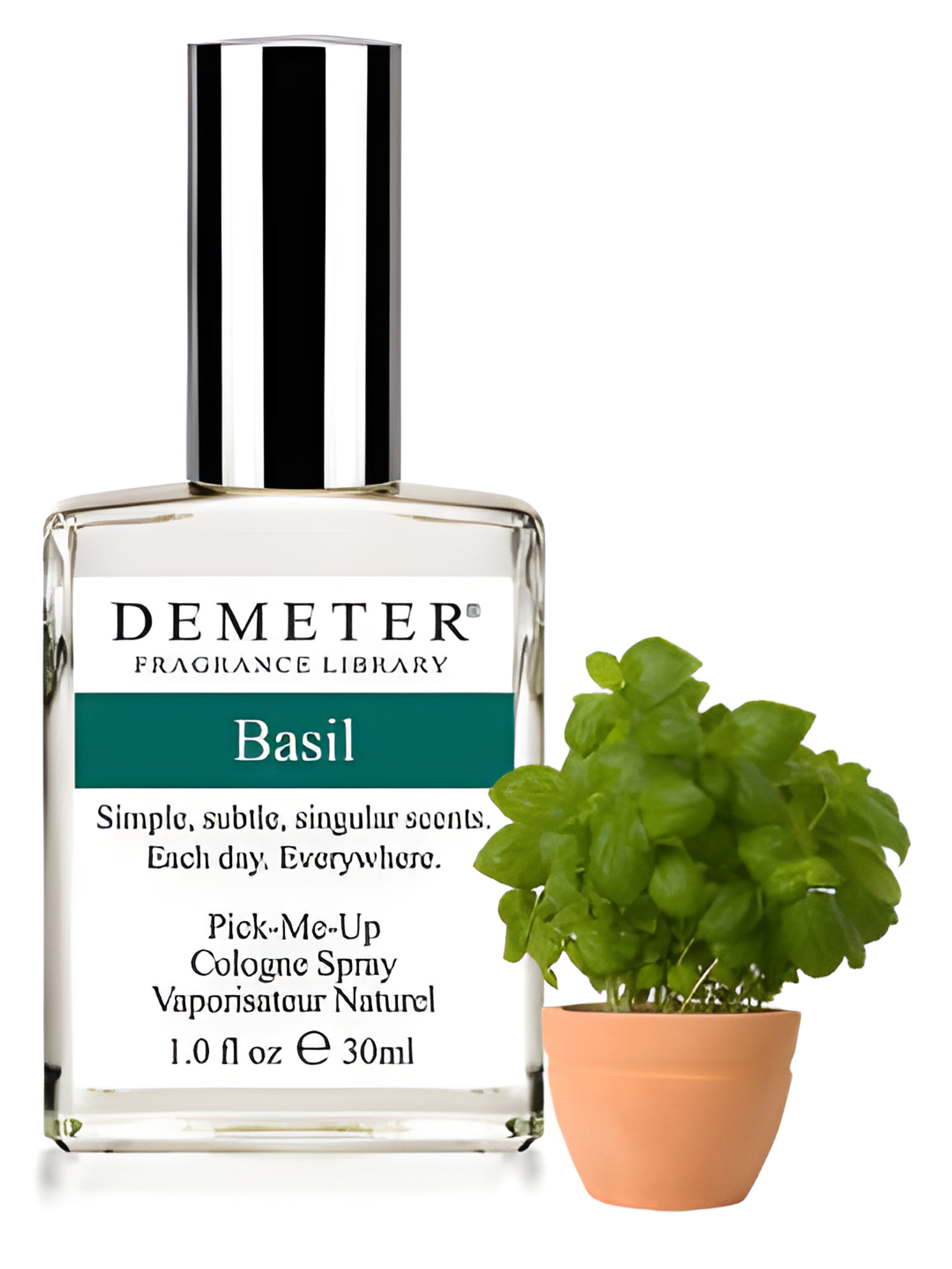 Picture of Basil fragrance