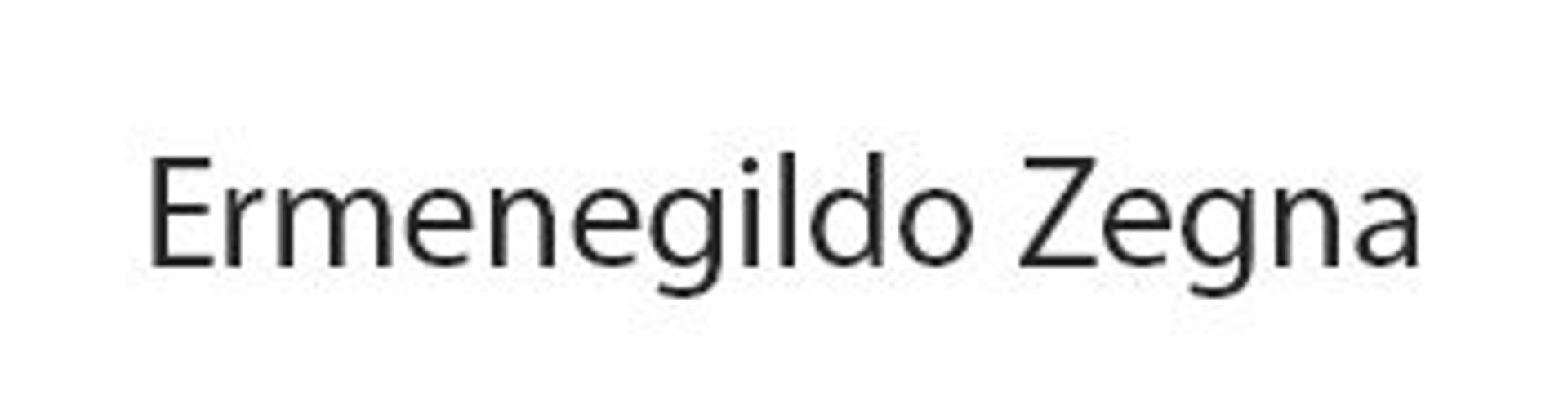 Picture of Ermenegildo Zegna brand