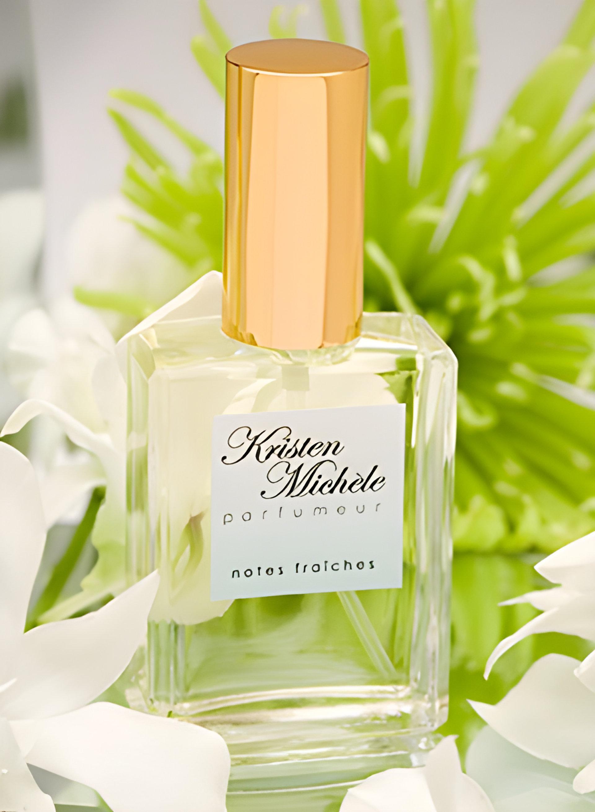 Picture of Notes Fraiches fragrance