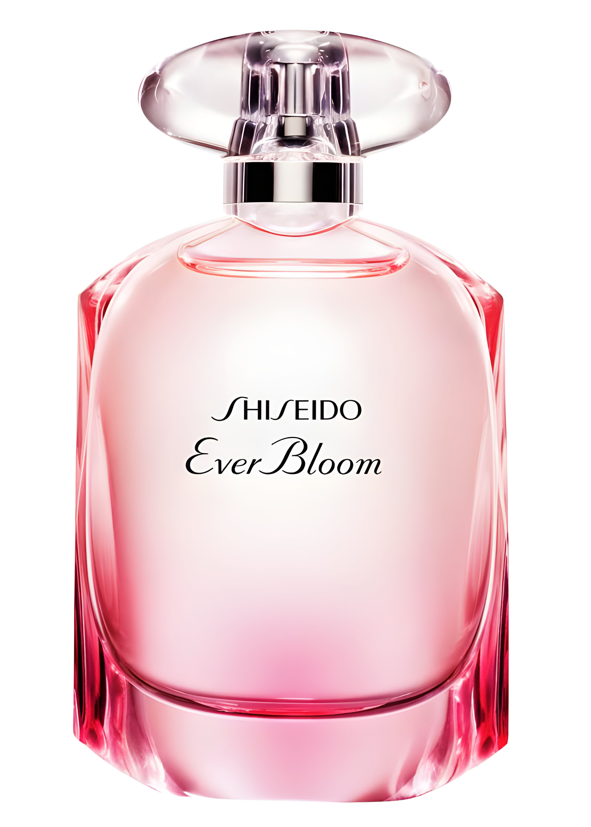 Picture of Ever Bloom fragrance