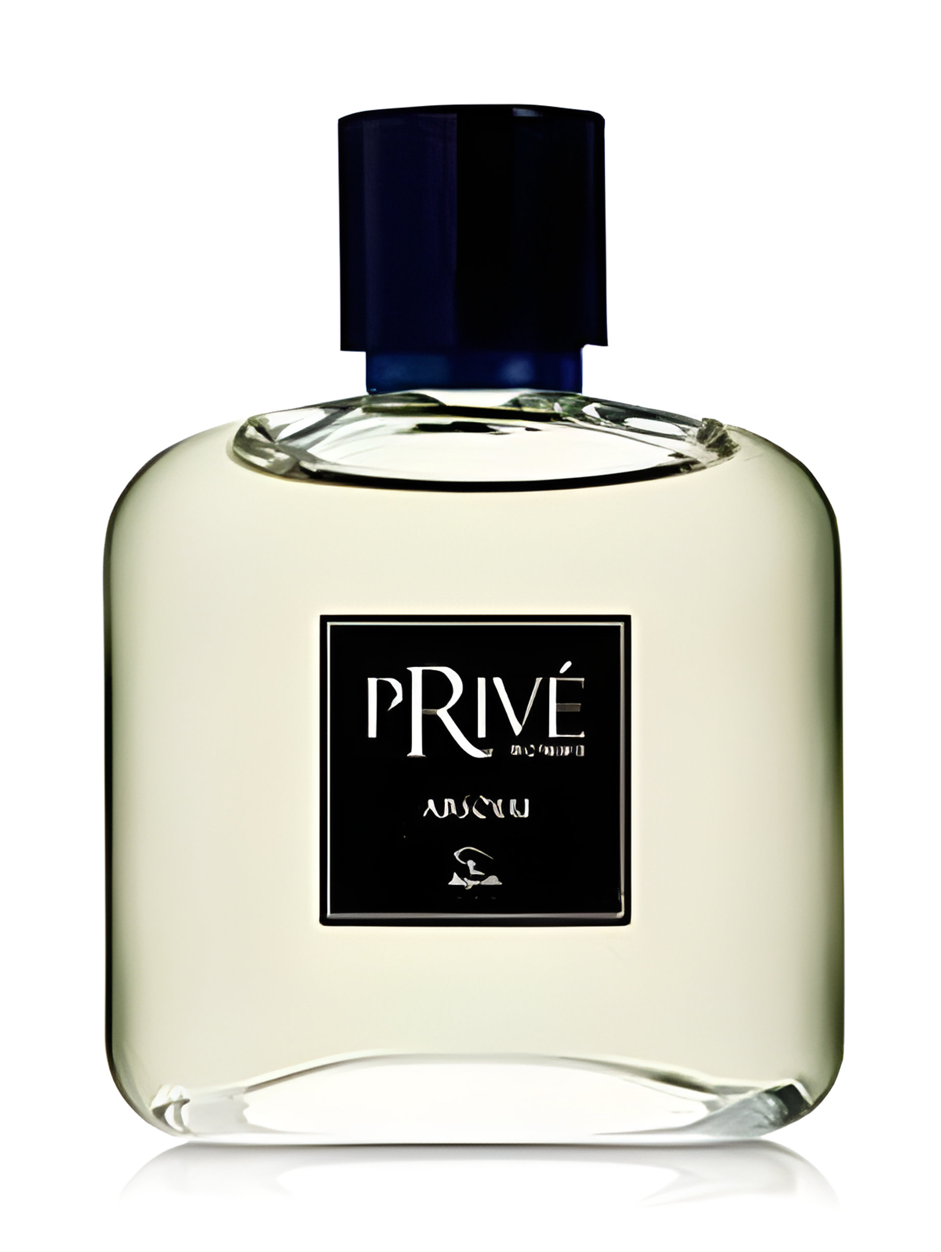 Picture of Privé Homme Absolu fragrance